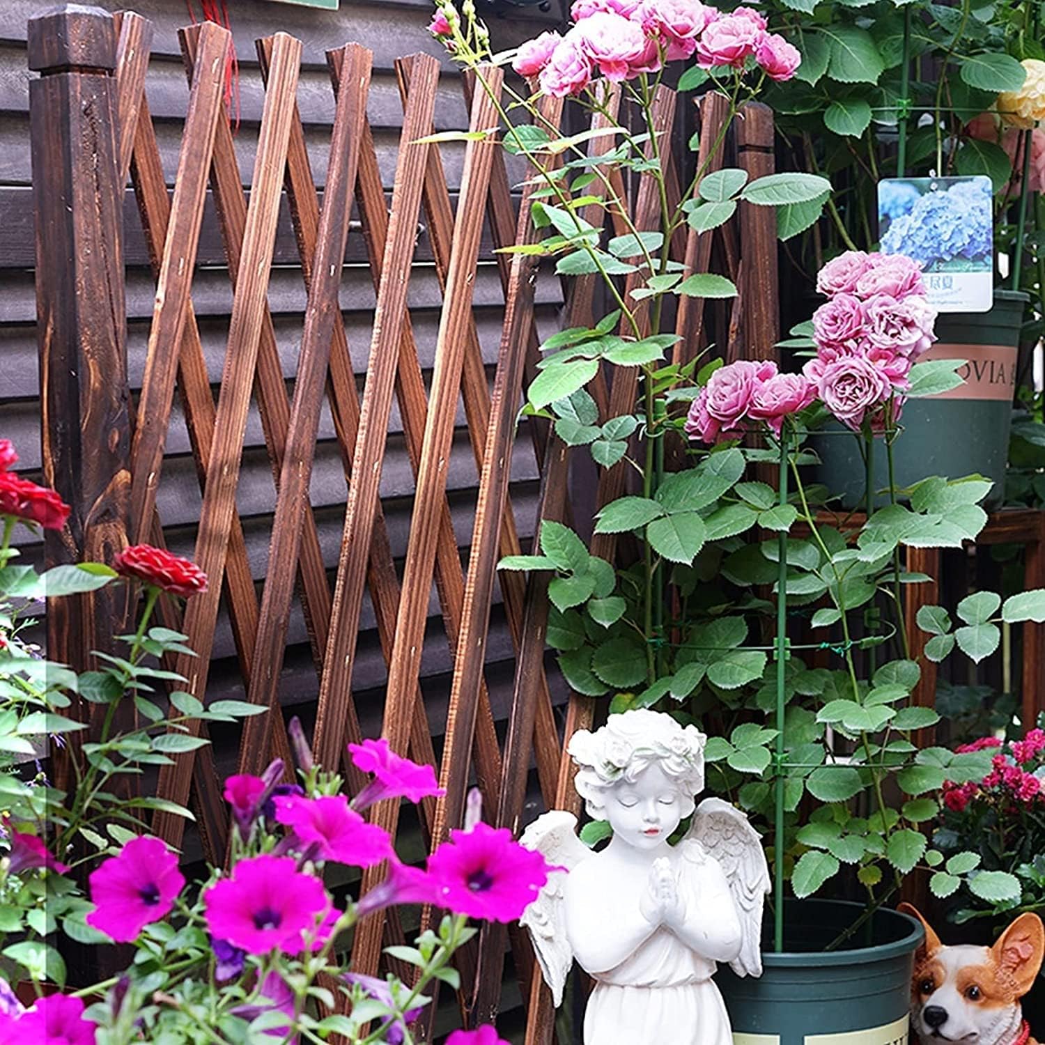 伸縮フェンス、ラティス・垣根、 門扉 ゲート 柵、伸縮式間仕切りフェンス、設置簡単耐久性庭ガーデン柵、庭のフェンシング、庭の塀の拡大