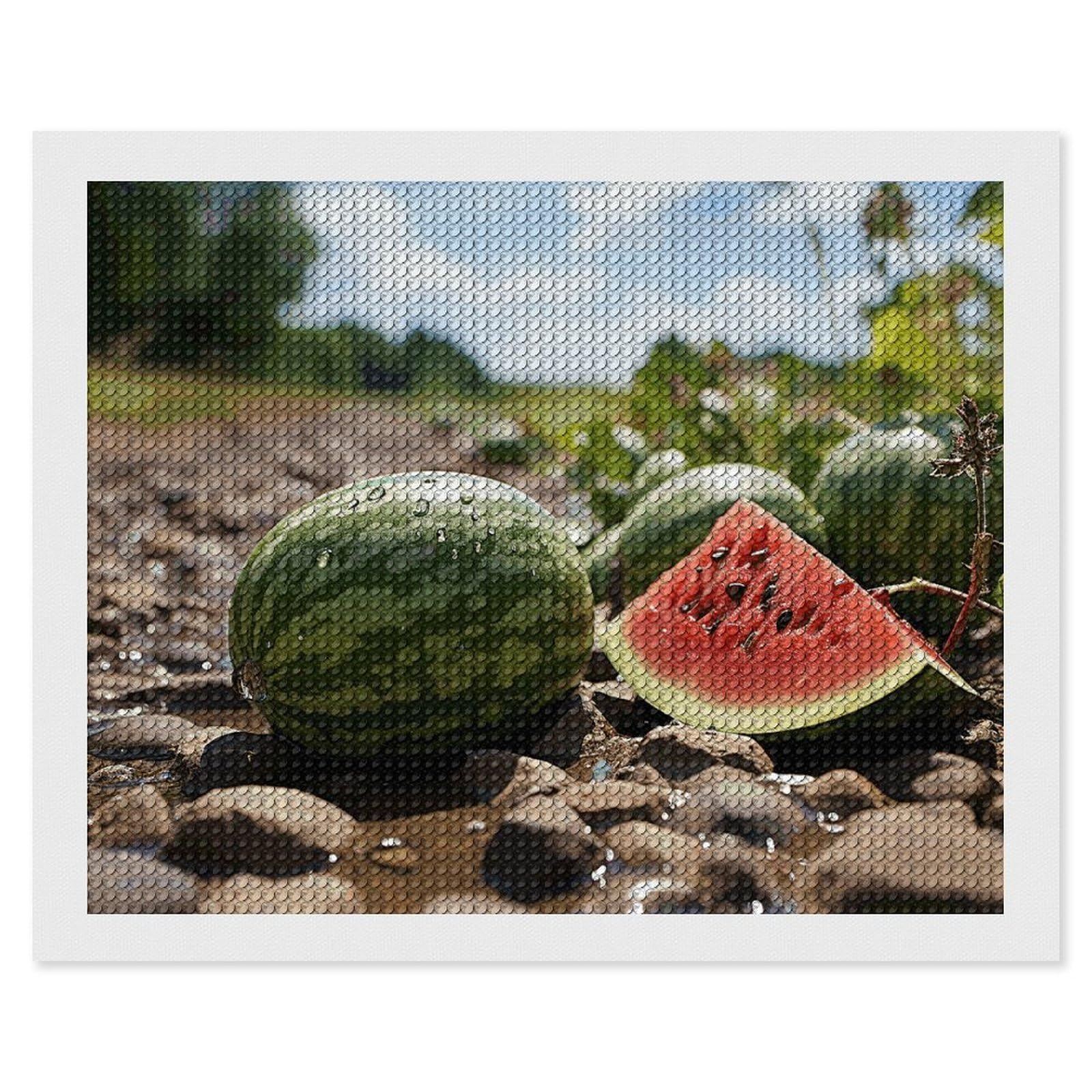 Diamond Painting Kits for Adults - DIY Diamond Art Kits for Beginners - Full 5D Paint Drill Diamond Dots Paintings- Watermelon on The Ground Diamonds Pictures Gem Art And Craft Wall Decor 16"x20"