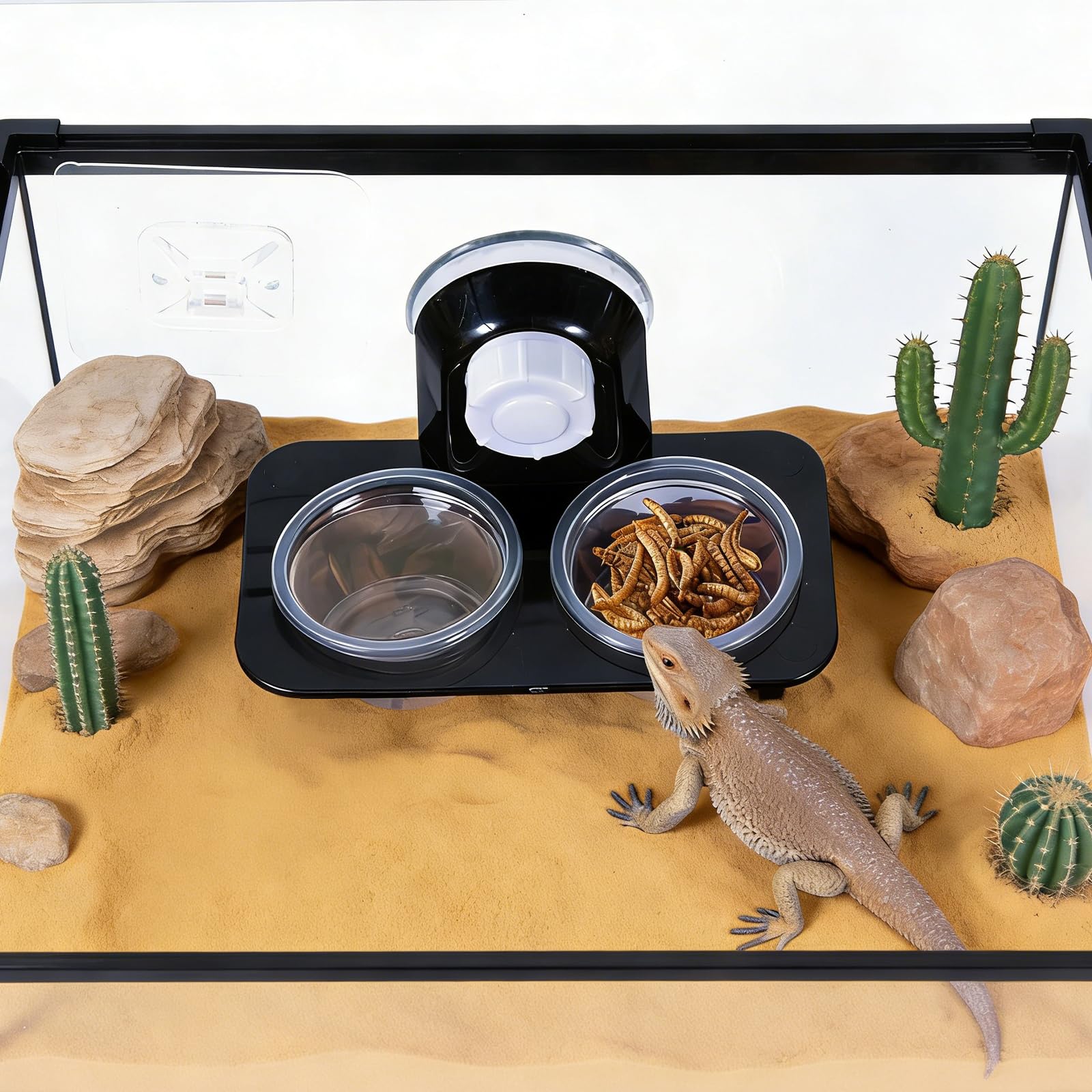 2 Pièces Bol Alimentation Gecko, Reptile Feeder Ventouse, avec 32 Tasses Interchangeables, Convient aux Petits Animaux de Compagnie comme Le Lézard, Le Gecko à Crête, Le Gecko Léopard (B)