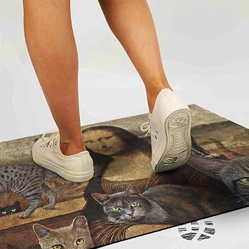 Monnhein Kedi Köpek Komik Tasarımlı Dekoratif Kapı önü Paspas, Dış Mekan/Ev İçi/Banyo/Mutfak/Yatak Odası/Giriş Paspasları (Mona Lisa, 40x60)