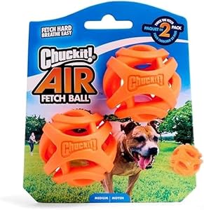 ChuckIt! Durable Breathe Right Ball Dog Toy, (Medium 2-Pack)