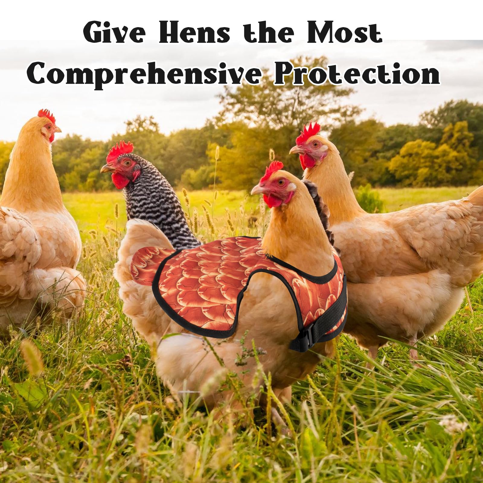 Lot de 3 sangles réglables - Gilet de poulet - Étanche et respirante - Protection latérale - Accessoire de protection contre les plumes de volaille - Accessoire pour poules de petite taille et moyenne