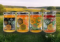 Kit Completo 4 Méis DonaBeia 450g – Silvestre, Eucalipto, Cipó-Uva e Laranjeira | 100% Puro, Natural e Artesanal