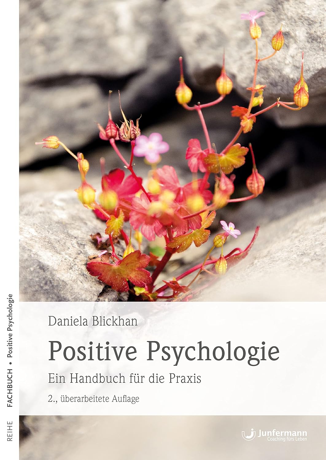 Positive Psychologie: Ein Handbuch für die Praxis (German Edition)      Kindle Edition