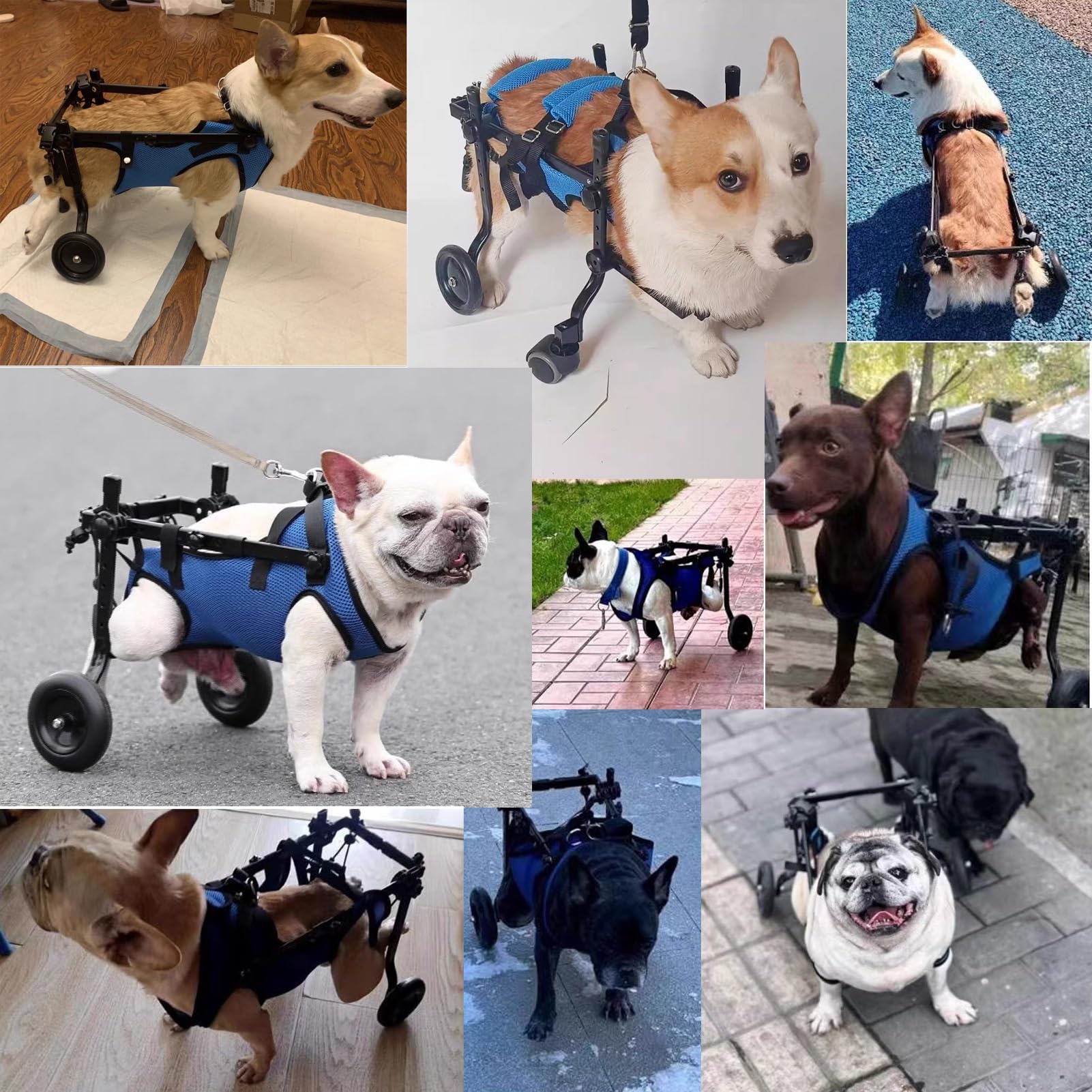 Amazon.co.jp: 犬用車椅子 フレンチブルドッグ 犬用車椅子