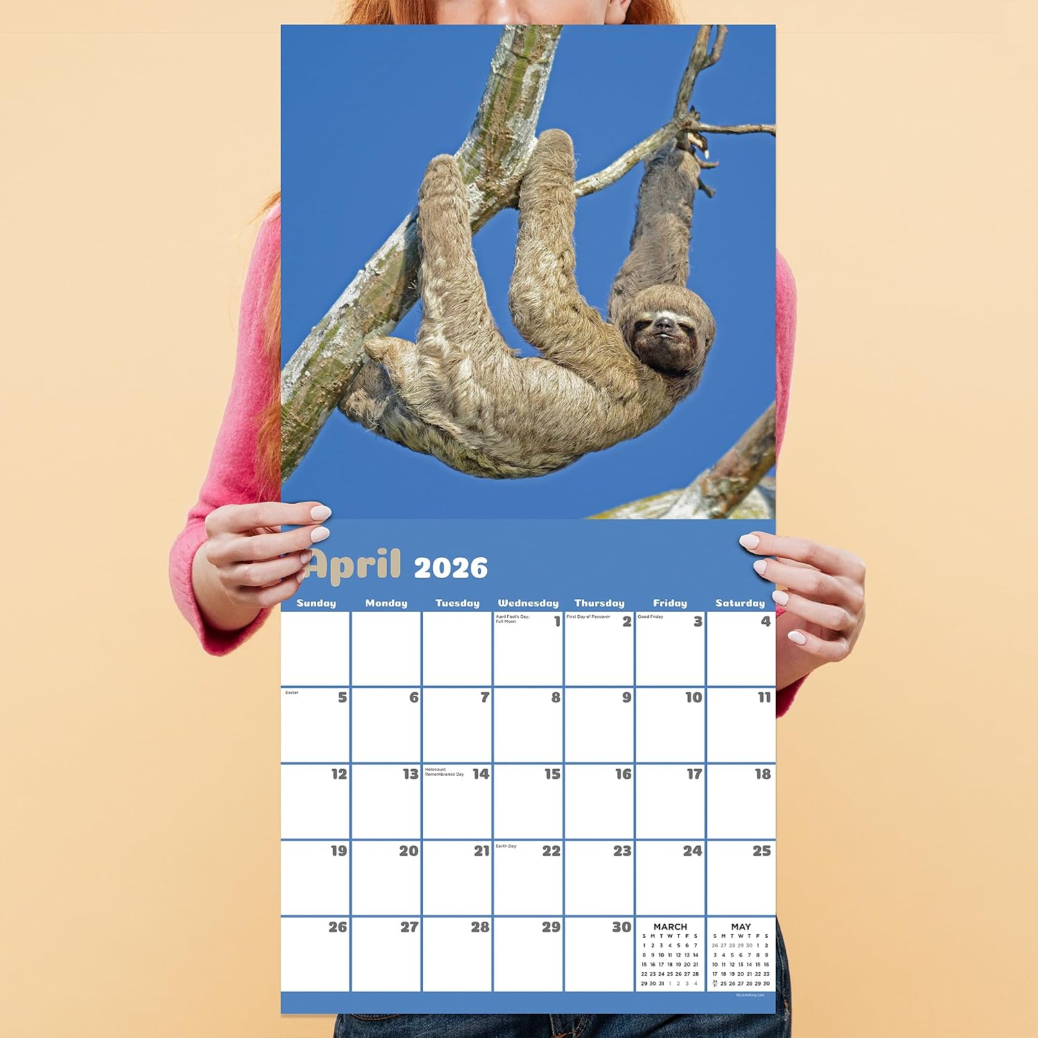 TF Publishing 2026 Sloths Wall Calendar - Large Grids for Appointments and Scheduling - Vertical Monthly Wall Calendar 2026 with Premium Gloss Paper for Home and Office Organization - 12in x 12in image 5