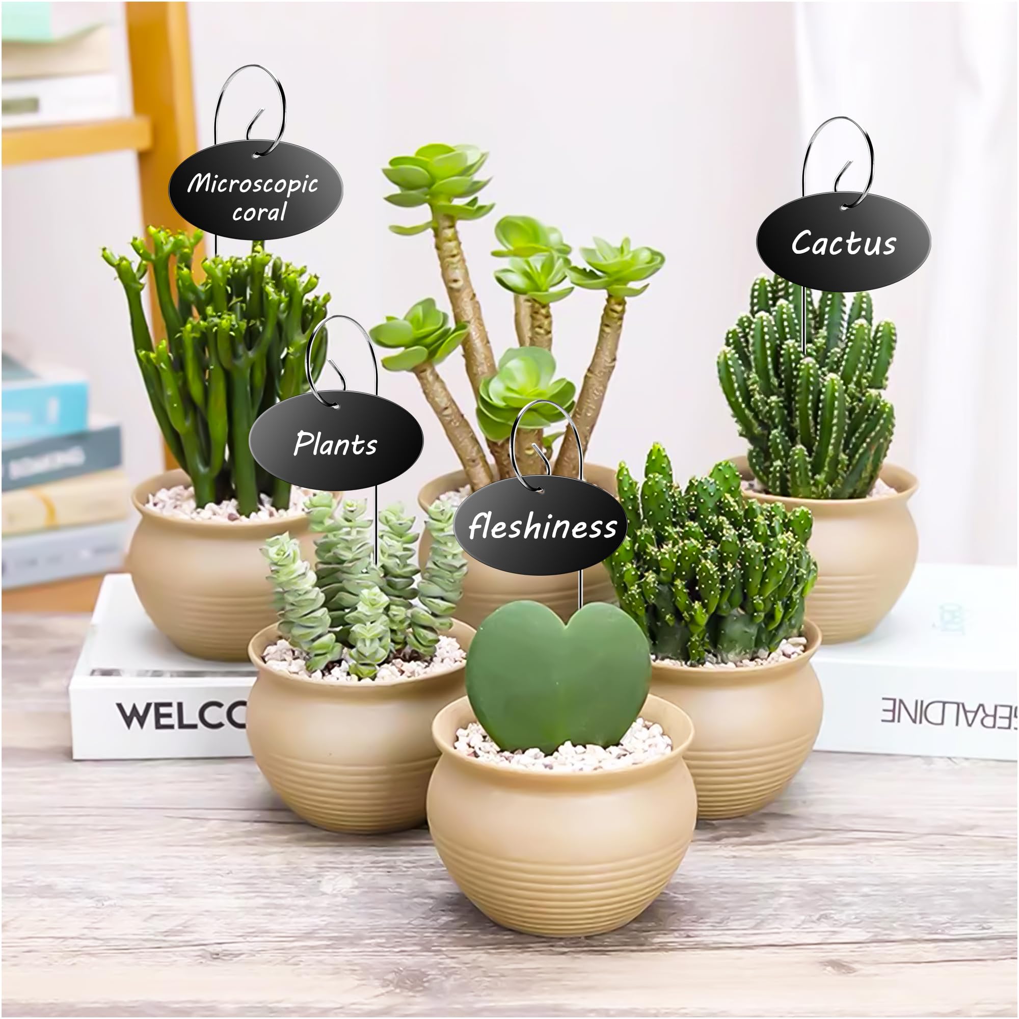 Amazon.com: Vcekract Plant Labels, 25 Pcs Acrylic Garden Labels