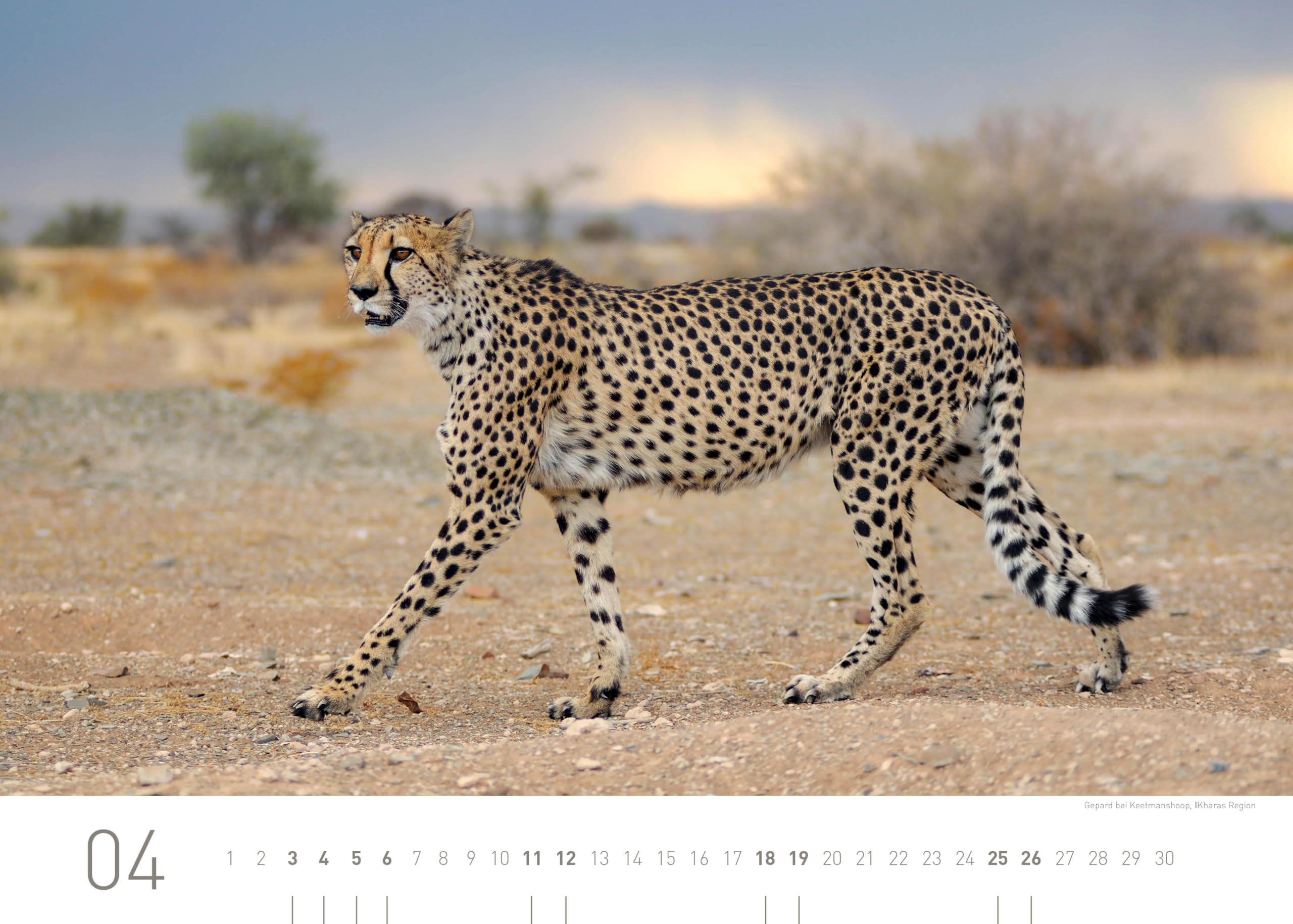 Namibia Exklusivkalender 2026 (360° Exklusivkalender 2026: Limited Edition (70 x 50 cm))