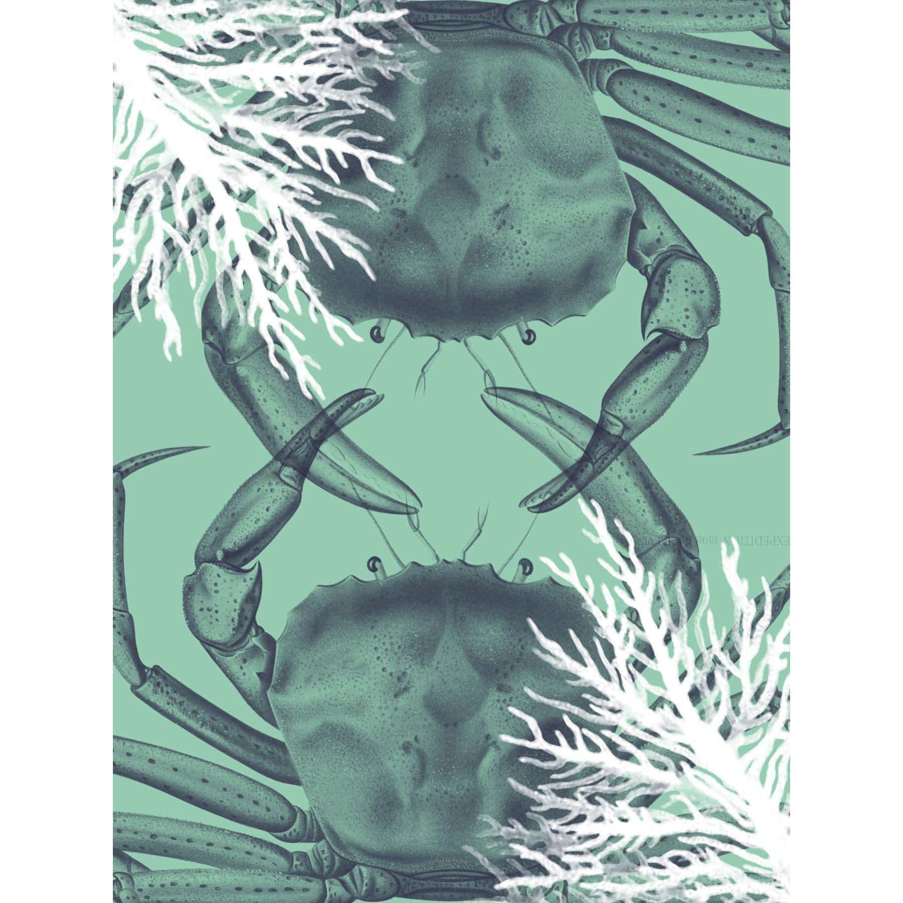 Wee Blue Coo Crab And Coral Collage Art Print Poster Wall Decor