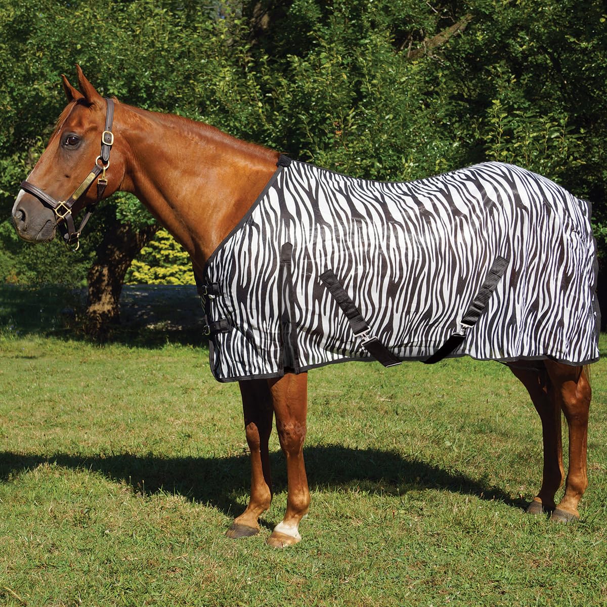 Country Pride Zebra Print Soft Mesh Fly Sheet for Horses, Summer Insect Protection, Adjustable Double Buckle Front, Shoulder Gussets, Removable Leg