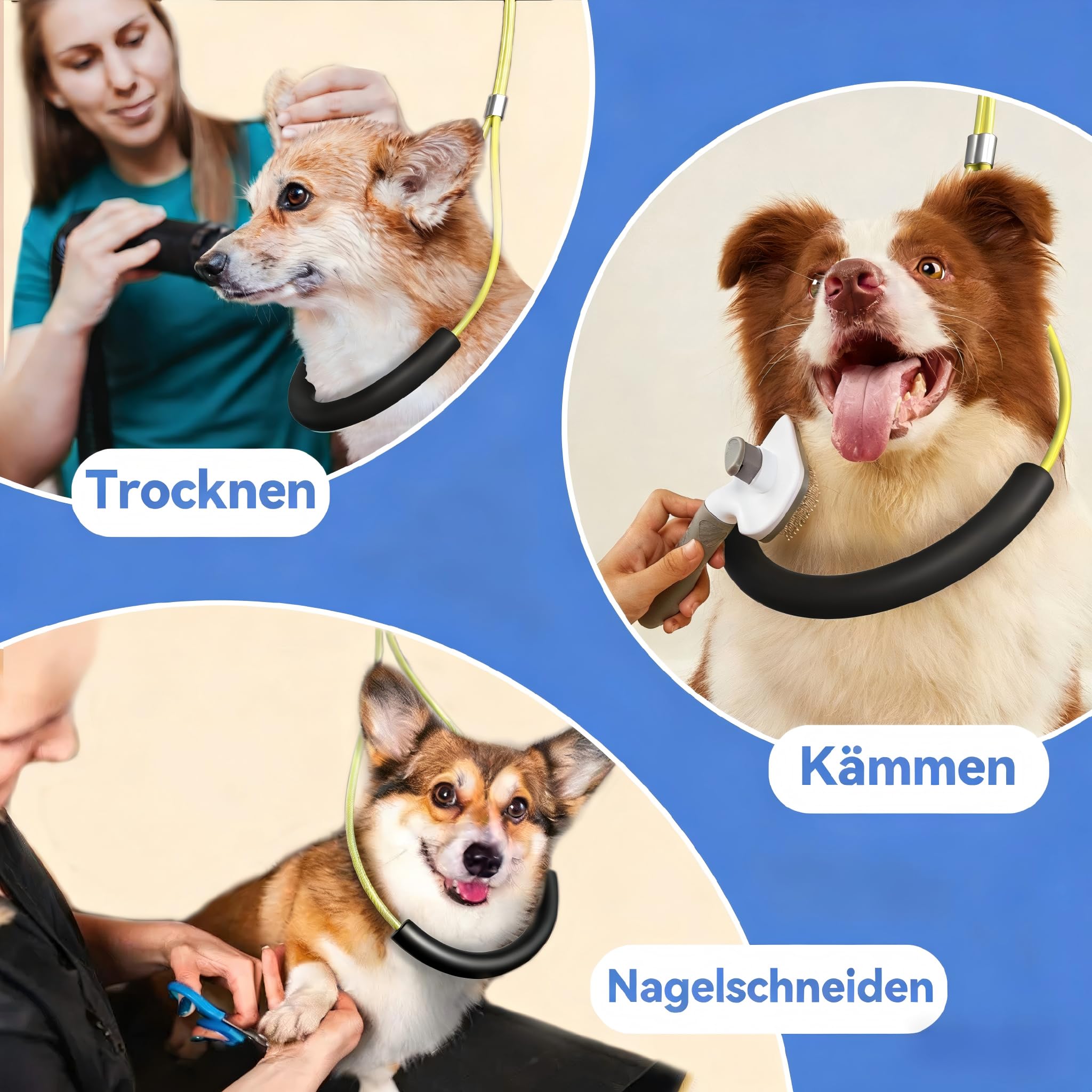 Faltbarer Hundepflegetisch-Arm mit Tischklemme – Höhenverstellbar 66–102 cm, Grooming-Arm mit Hängematte & Anti-Sitz-Schlaufe, Hunde-Fixierung für kleine & mittelgroße Hunde, Zuhause oder Salon