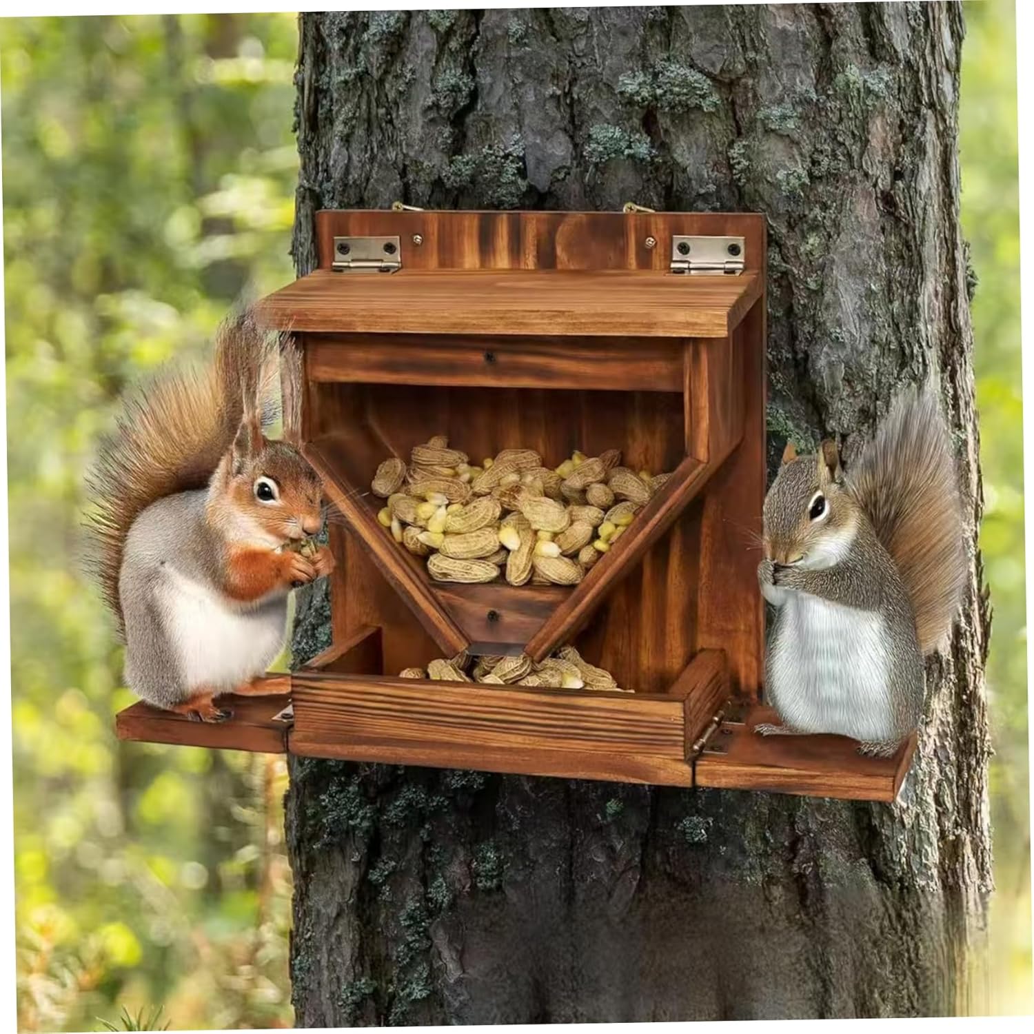 Squirrels Feeder, Wooden Chipmunk Feeder with Flexible Roof, Chipmunk Feeding Box with Transparent Window for Outside, Backyard and Garden Squirrels Feeders for Outdoors