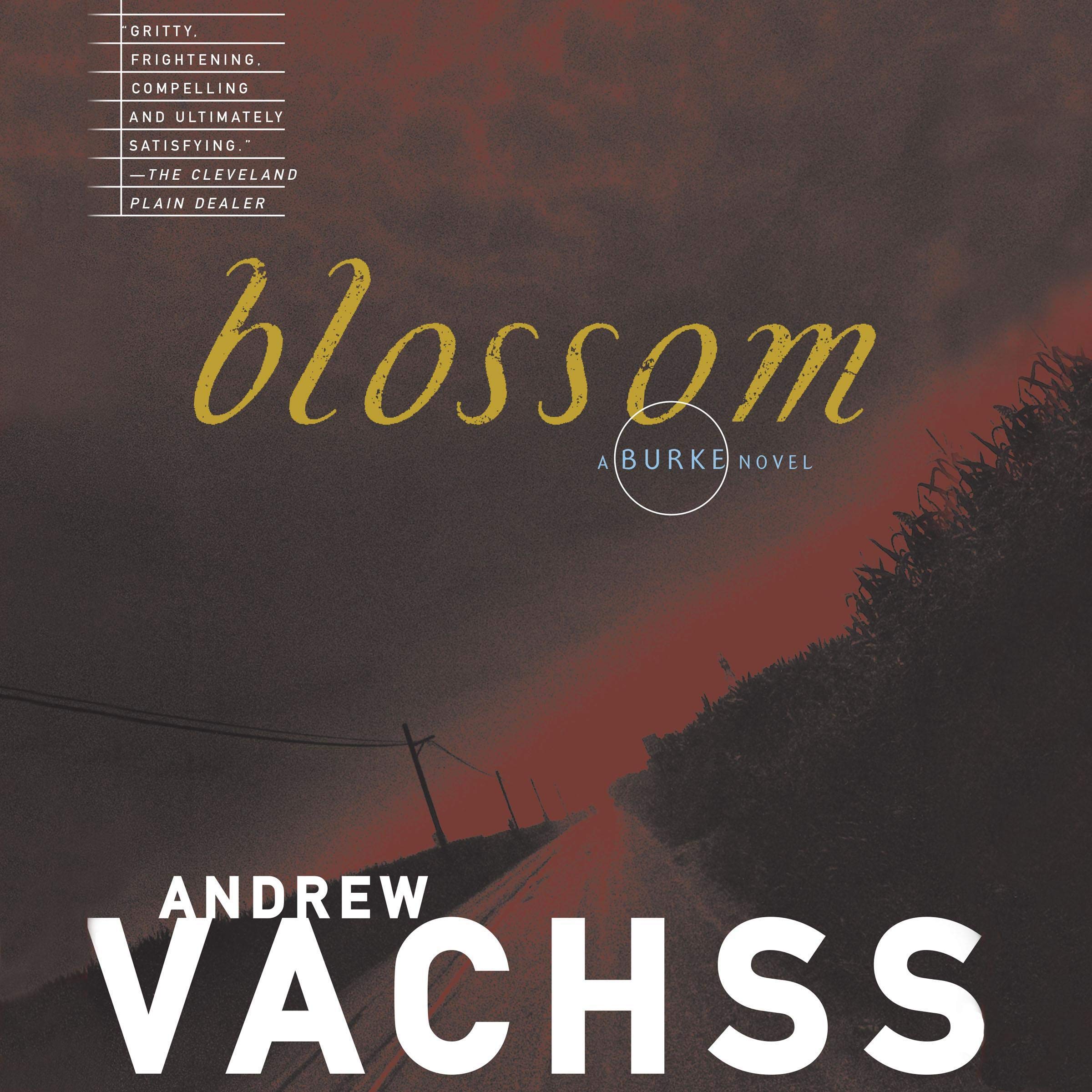 Cover art for Blossom