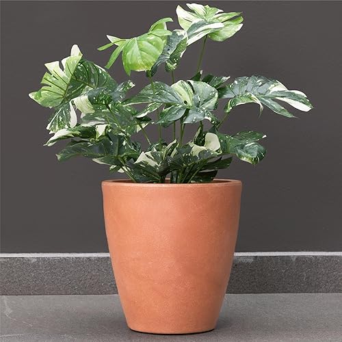 Miniatura 7 de Elly Décor Maceta de 17 pulgadas para jardín con drenaje, redonda grande, ligera y extremadamente duradera, maceta de plástico para interiores y