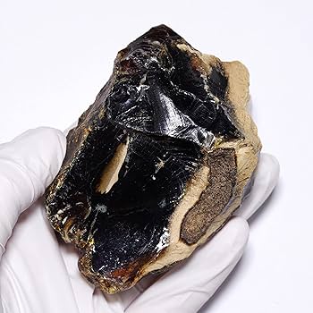 樹脂の化石【超激レア】 Amazon | 【N2 stone Natural】