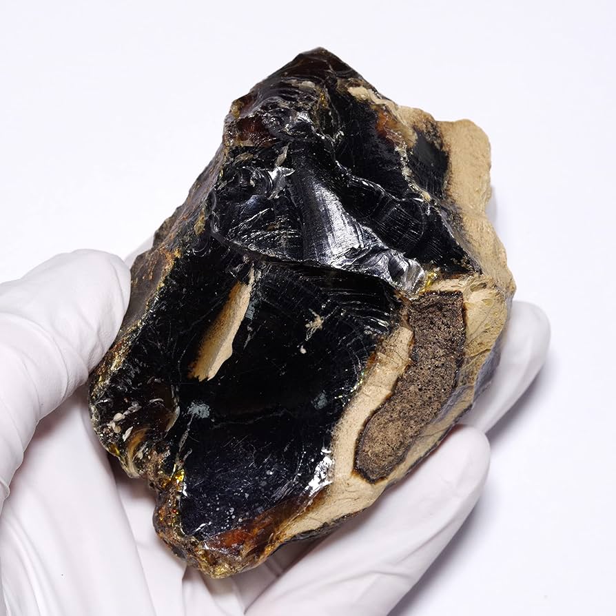 樹脂の化石【超激レア】 Amazon | 【N2 stone Natural】