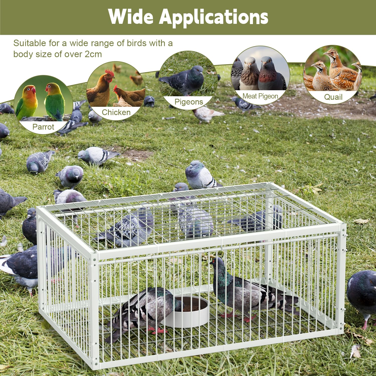 Jaula de trampa para palomas con entrada unidireccional (4 puertas), jaula de captura de pájaros, jaula de trampa automática con diseño a prueba de escape, jaula para pájaros para palomas de