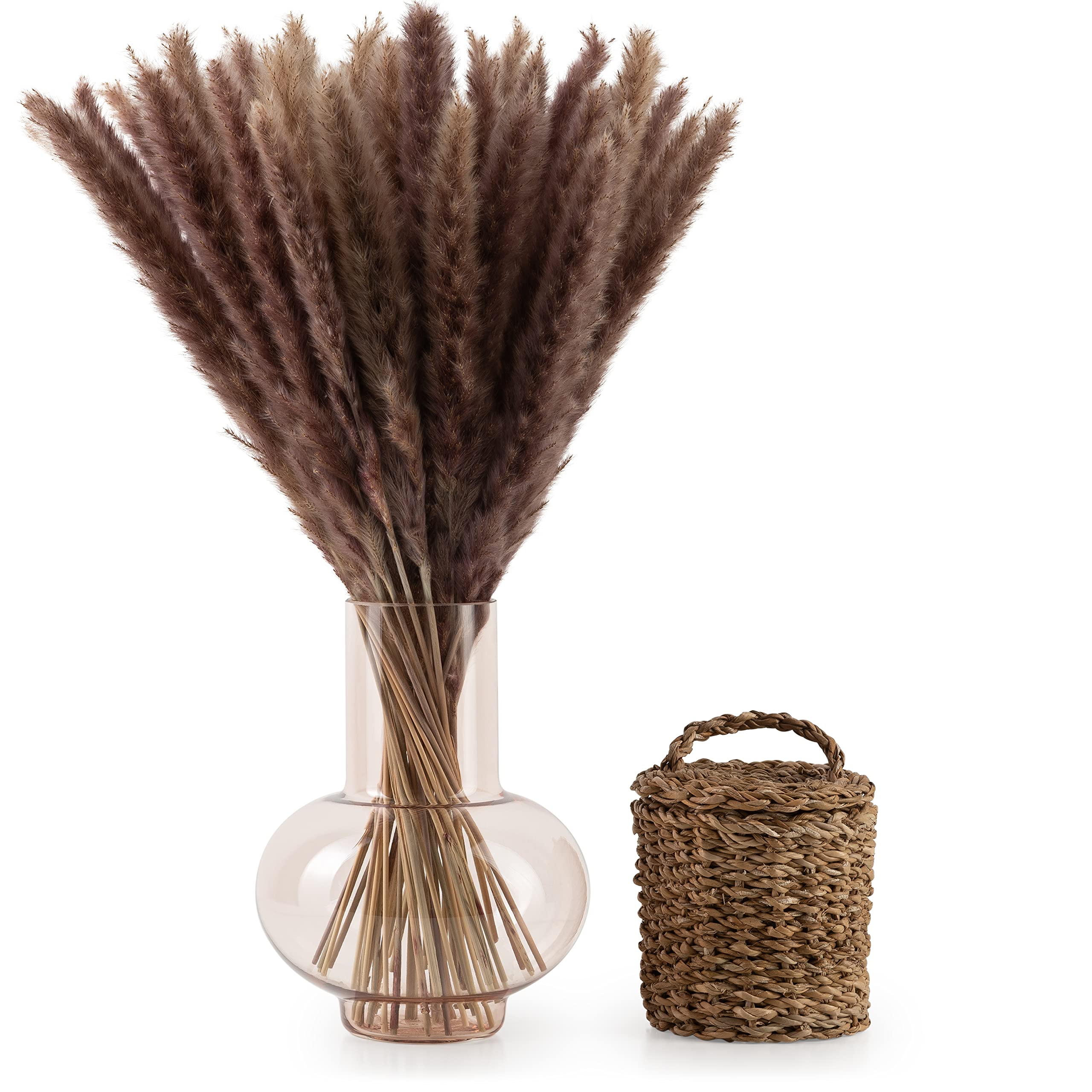 Bouquet D'herbe De La Pampa Séchée - 30 Tiges Naturelles, 58-60 Cm - Décoration Bohème Intérieur Durable