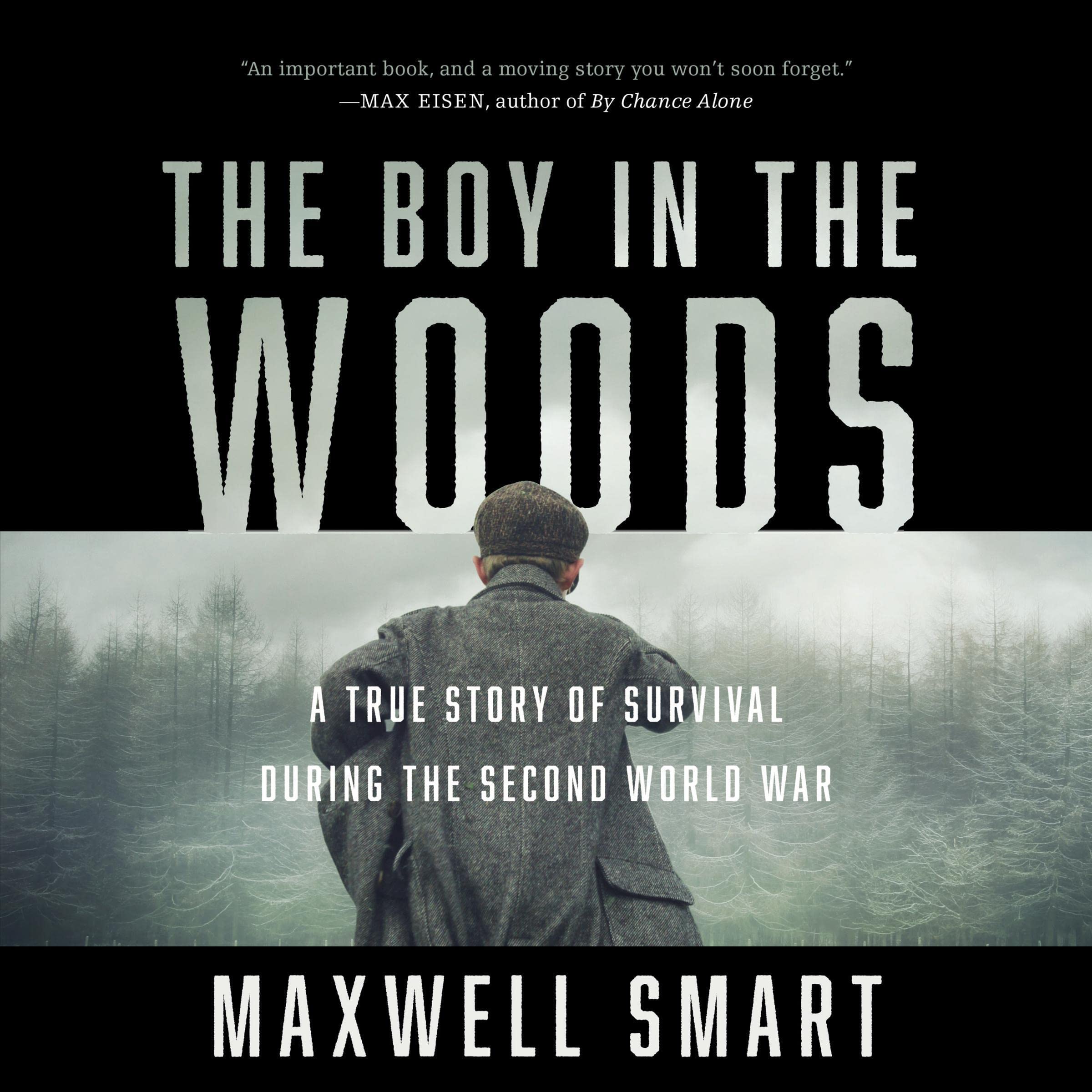 Cover art for The Boy in the Woods