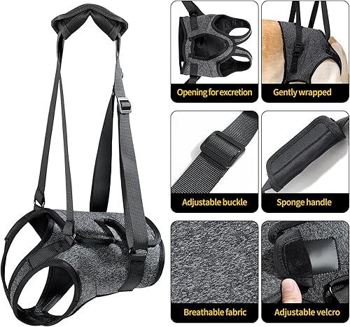 Miniatura 2 de HEYWEAN Arnés de soporte para patas traseras para perros grandes, ideal para perros ancianos con artritis lesionados, proporciona ayuda de