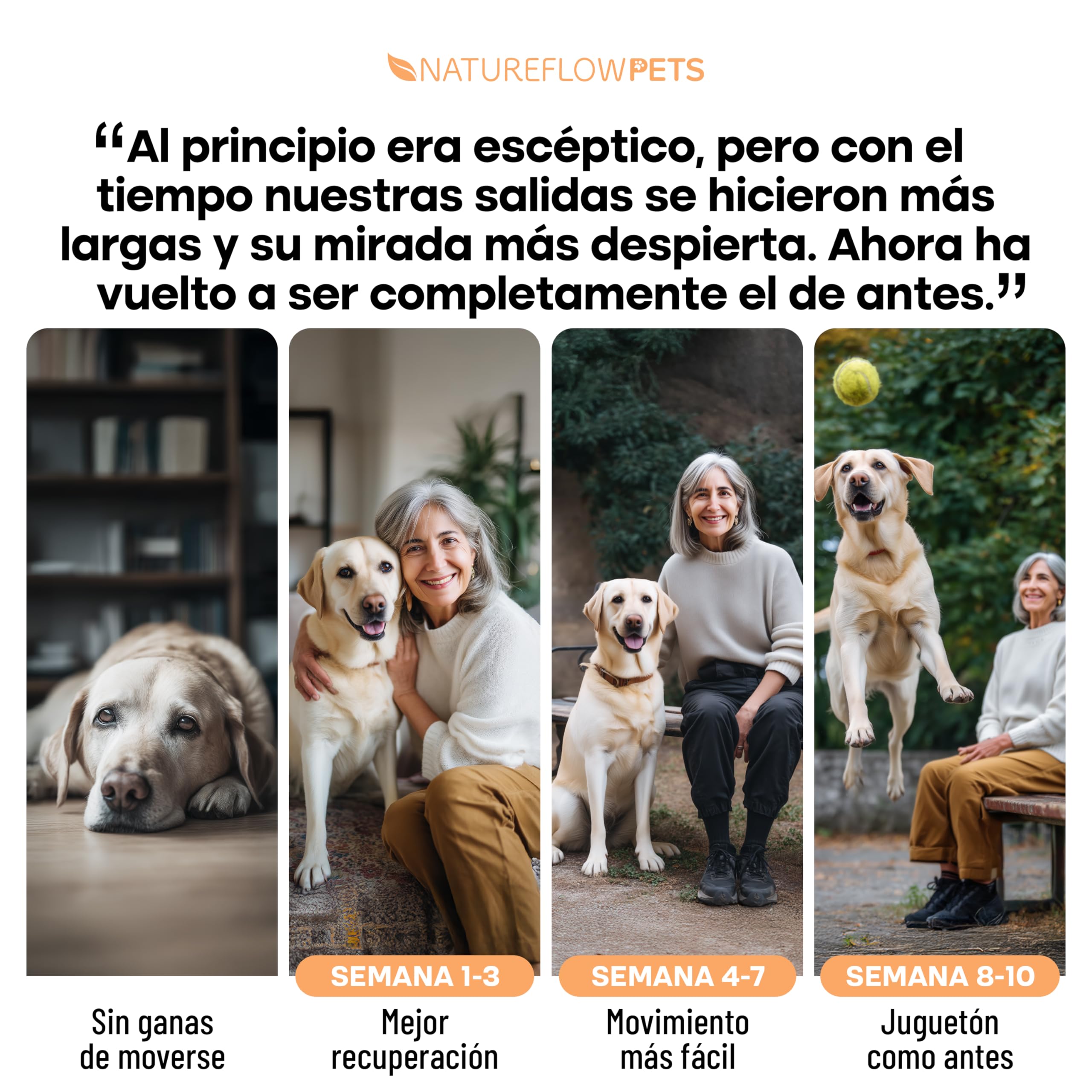 Condroprotector Perros - Suplemento Articulaciones y Cadera con Glucosamina, Condroitina y MSM - 100 Comprimidos - Antiinflamatorio Natural - Made in Germany - Natureflow Pets