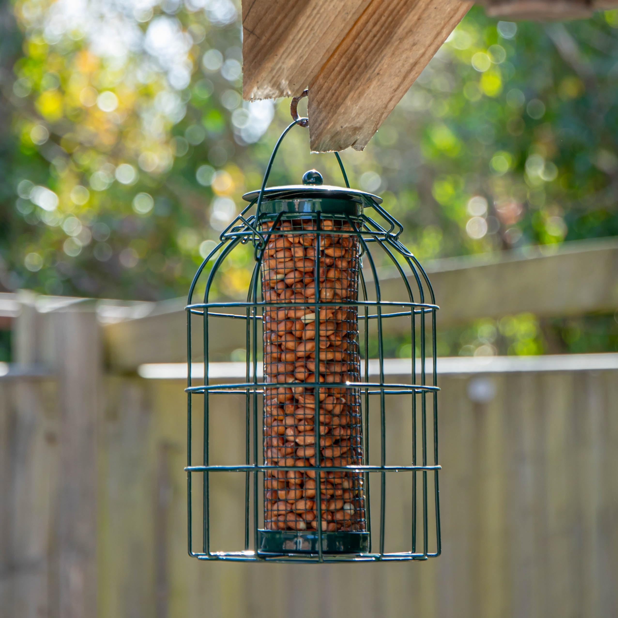 Samuel ALEXANDER Natures Market Wild Bird Hanging Nut Feeder with Squirrel Guard