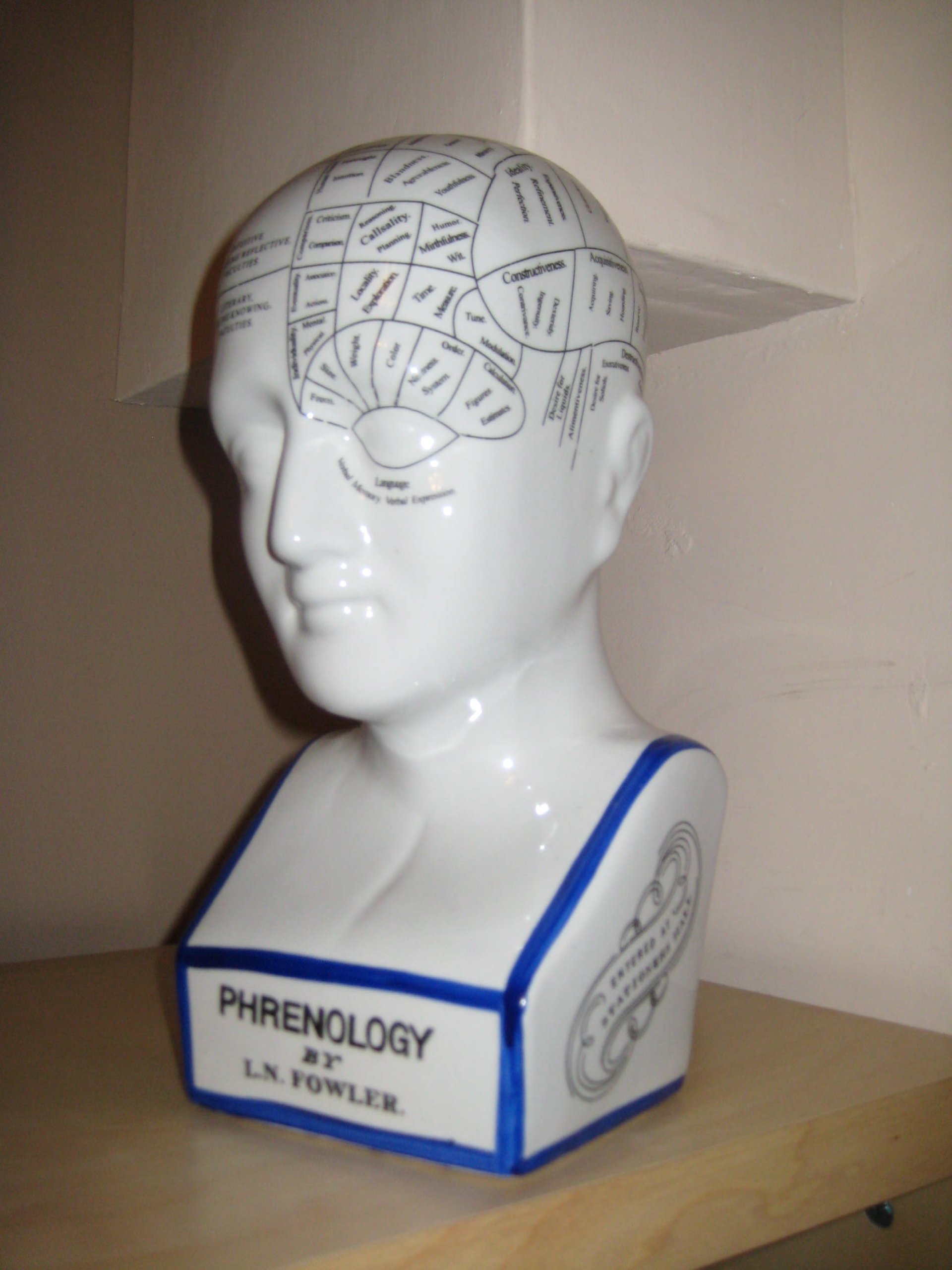 L N FOWLER LARGE CERAMIC 12 INCH PHRENOLOGY HEAD FROM CENTURION PINE by RETRO COLLECTIONS