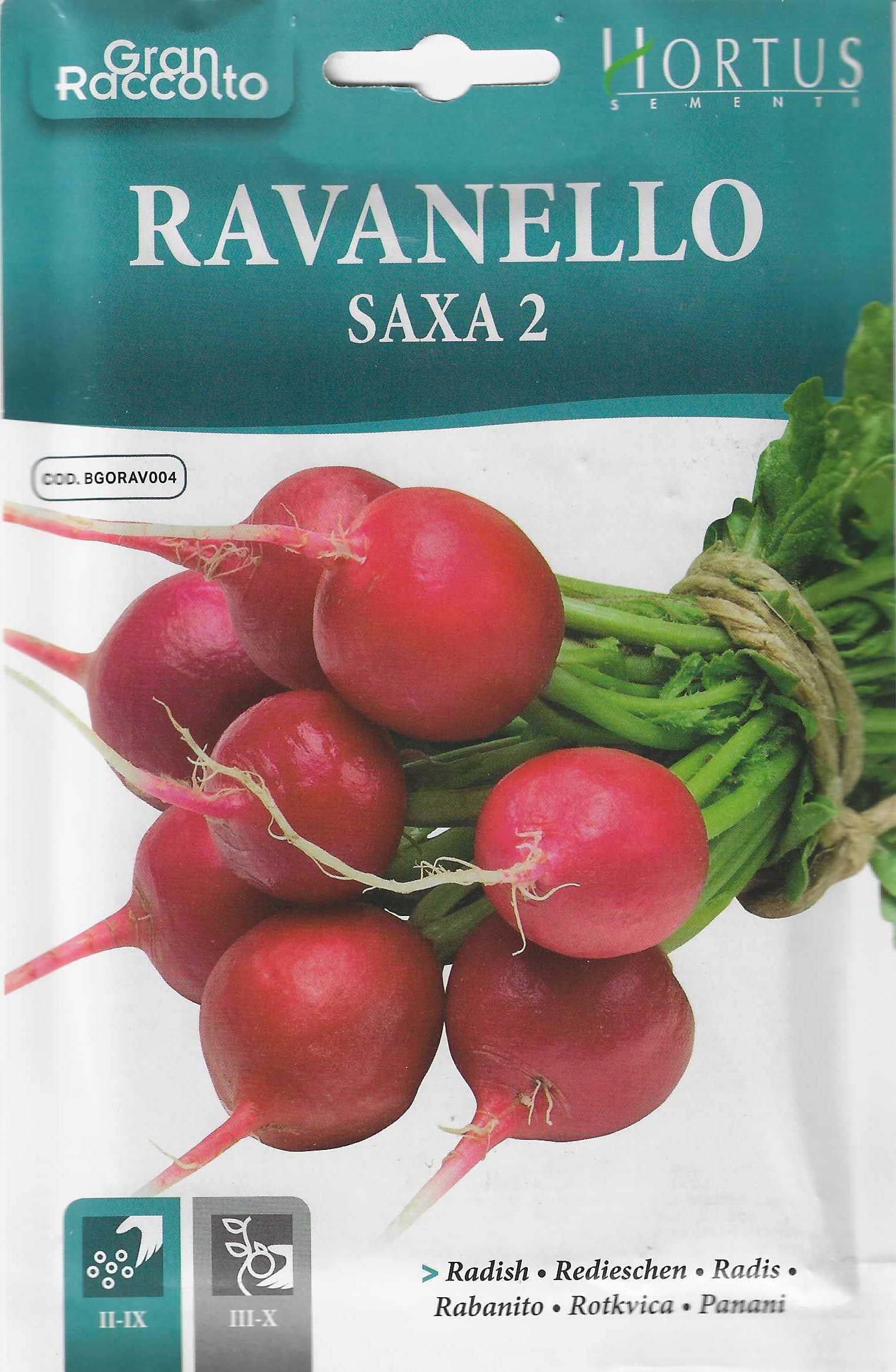 Red Radish Premium Quality Seeds (Ravanello Saxa 2) (Made in Italy) by Hortus Sementi