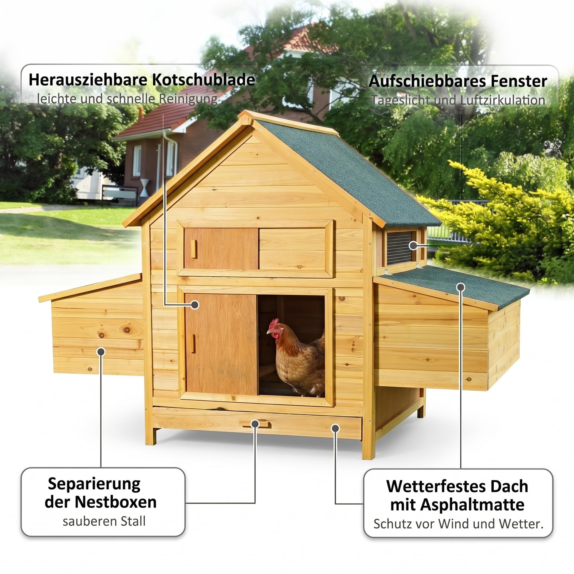 Mucola Hühnerstall XXL 160x115,5 cm Holz Natur – Hühnerhaus mit Freilauf & aufschiebbarem Fenster, abnehmbares Dach – wetterfest Indoor Outdoor – Geflügelstall Hasenstall Kaninchenstall Kleintiere