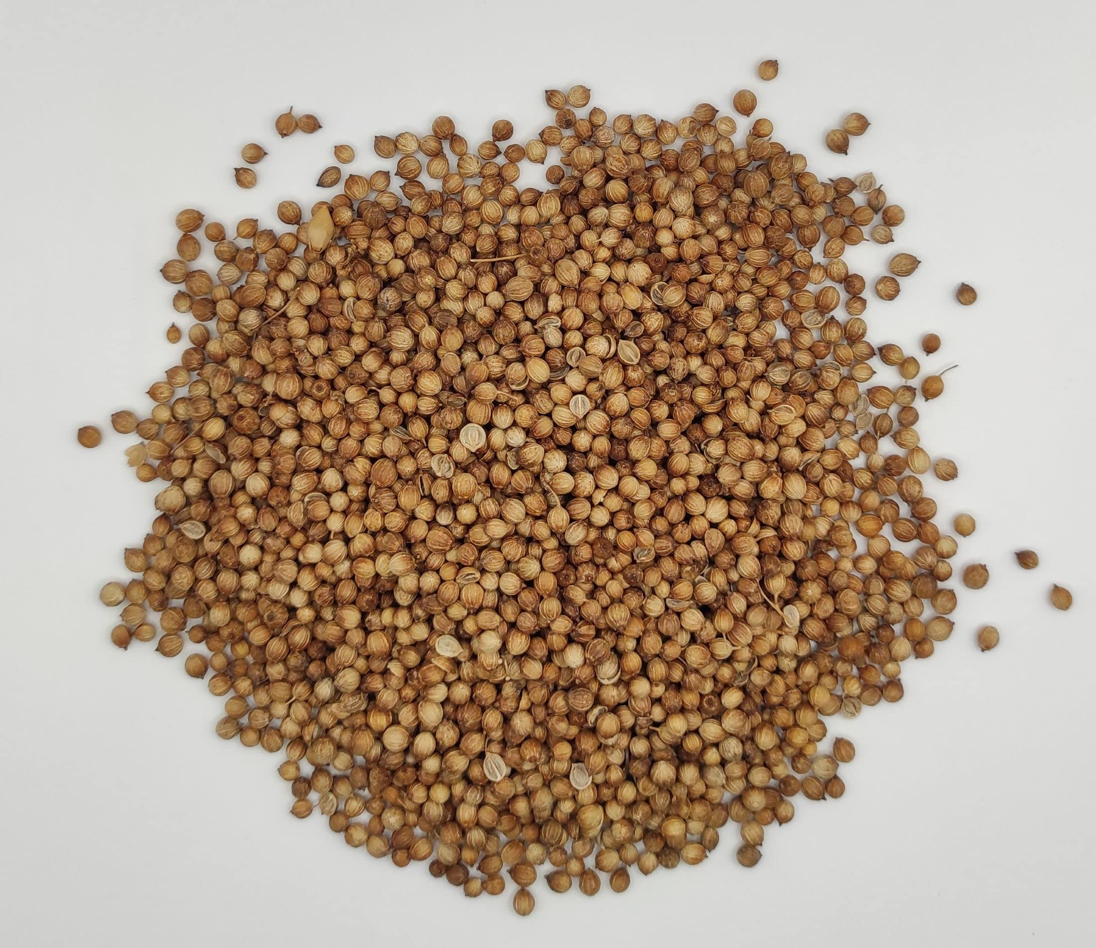 Ganze Koriandersamen 85g - 1,95kg Coriandrum sativum (1950 gramm)