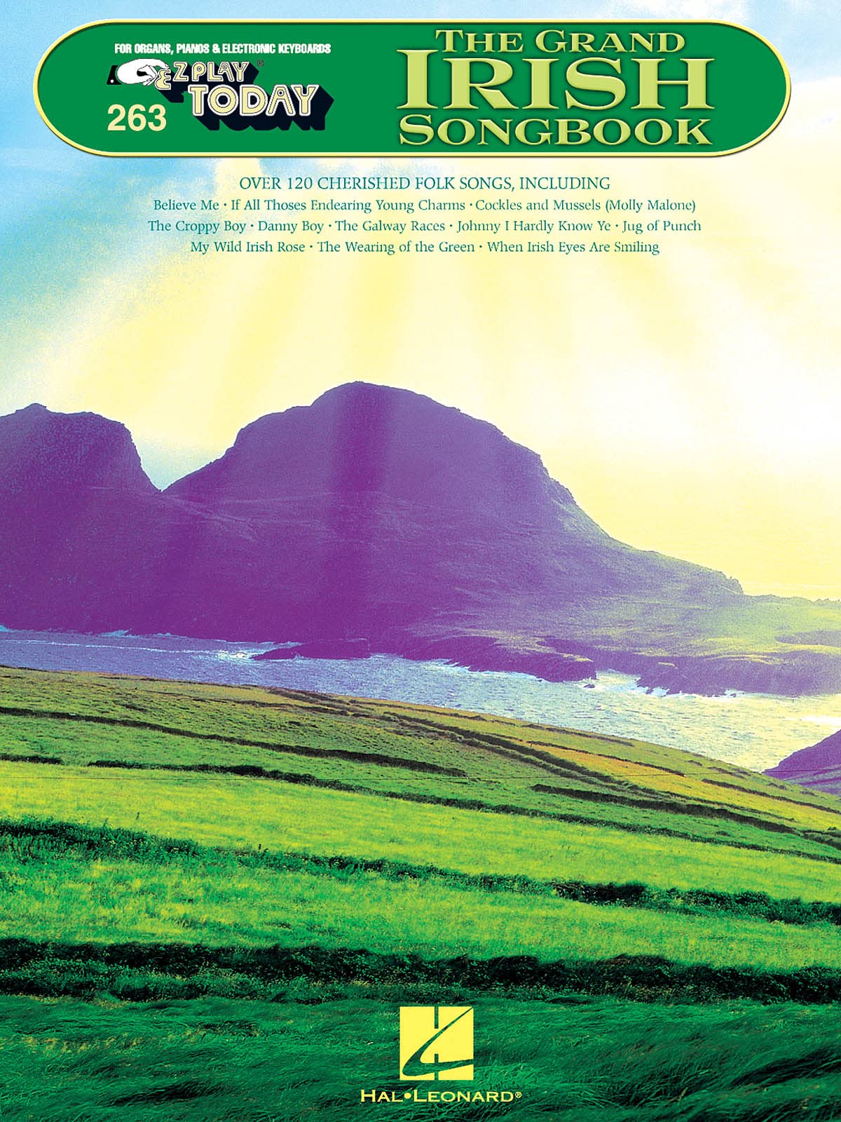 Hal Leonard Publishing Corporation E-Z Play Today 263 The Grand Irish Songbook Mlc: E-Z Play Today Volume 263