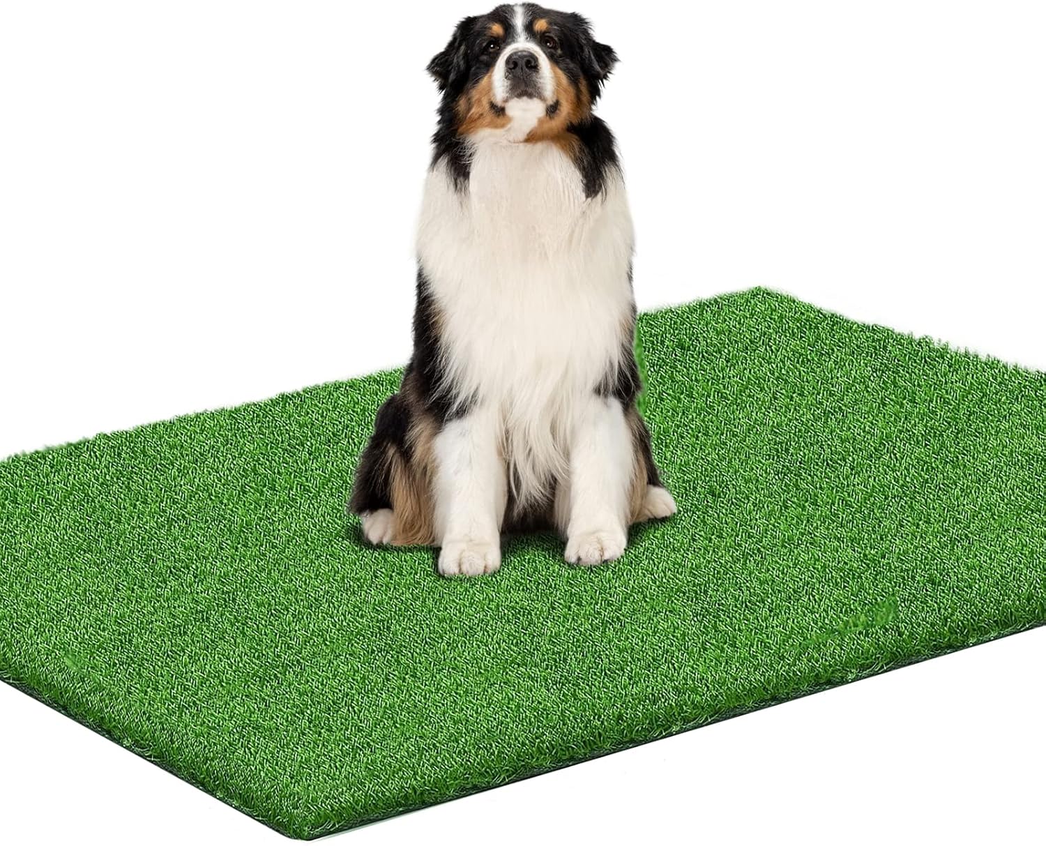 TAOAT 59 x 40 inches Fake Grass Pee for Dog Artificial
