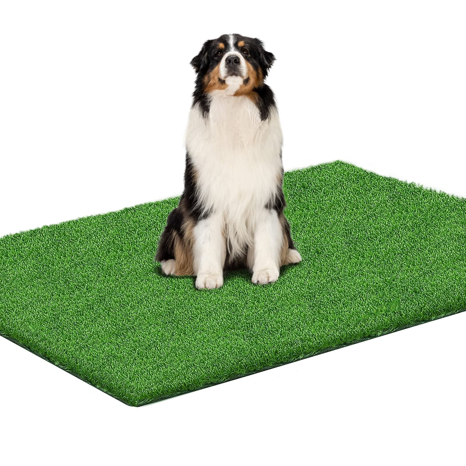 TAOAT 59 x 40 in Fake Grass Pee for Dogs Artificial Grass Rug Pad for Puppy Potty Washable Grass Mat for Pet Training with Drainage Hole and Easy to Clean