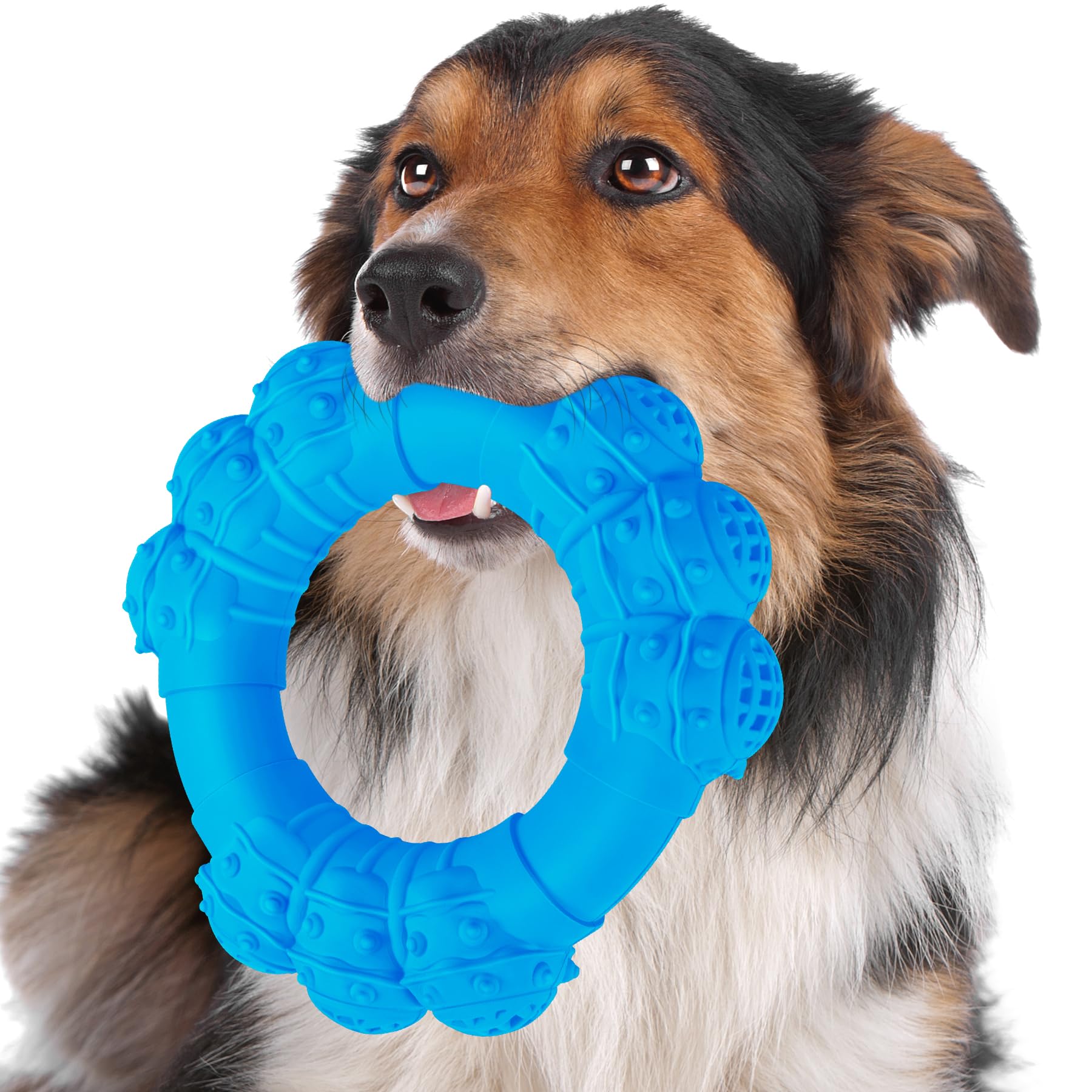 DAOZIJI Indestructible Dog Chew Ring Toys for Aggressive Chewers, Super Chewer Dog Toys for Medium Large Dogs, Puppy Teething Rings for Relax, Interactive Dogs Ring Toy, Heavy Duty Dogs Teething Toy