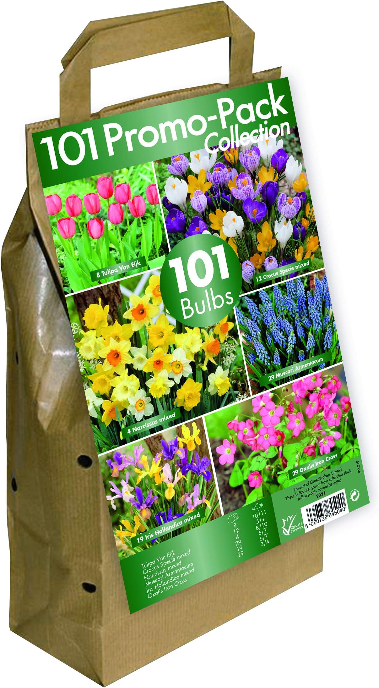 101 Flower Bulb Collection - Big Buy Value Pack - 6 Spring Flowering Varieties (Pack of 101)