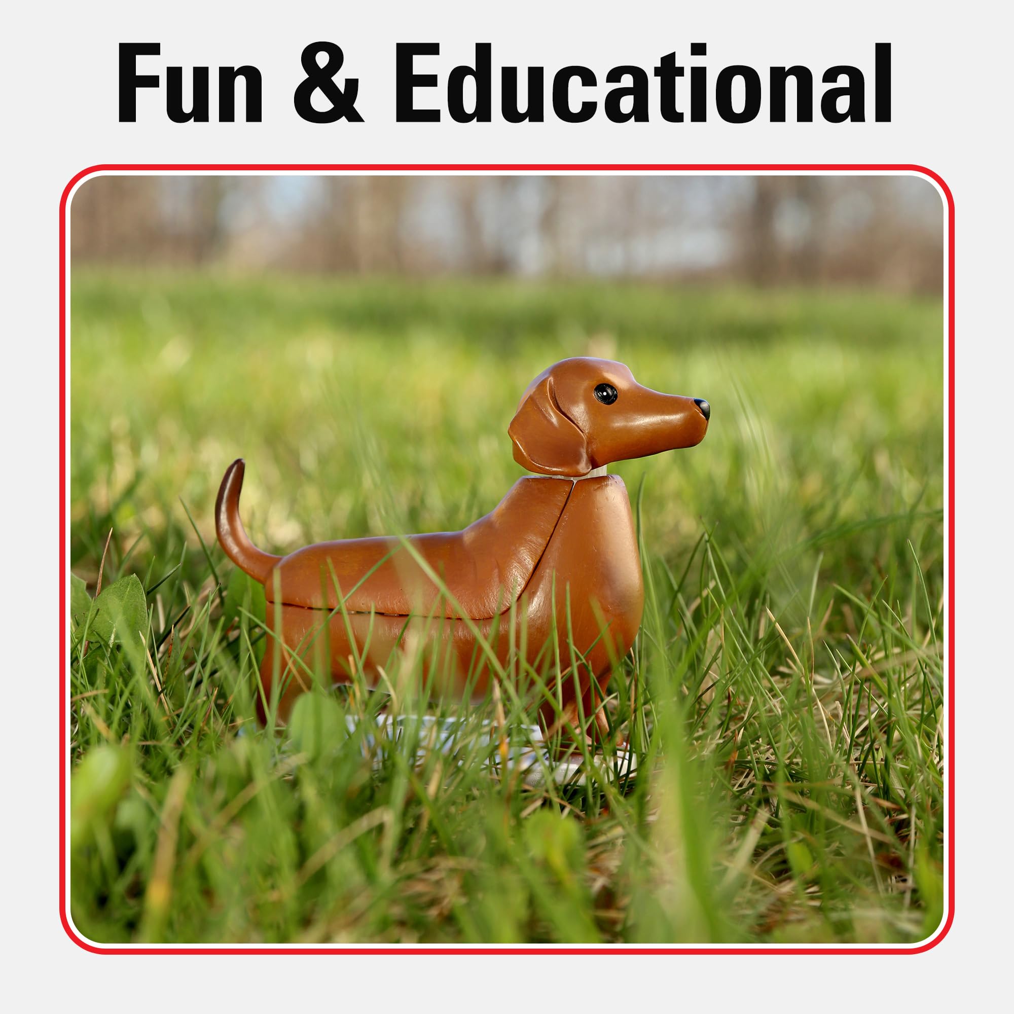 Amazon.co.jp: KIKKERLAND Boudewijn Solar Dachshund ソーラー