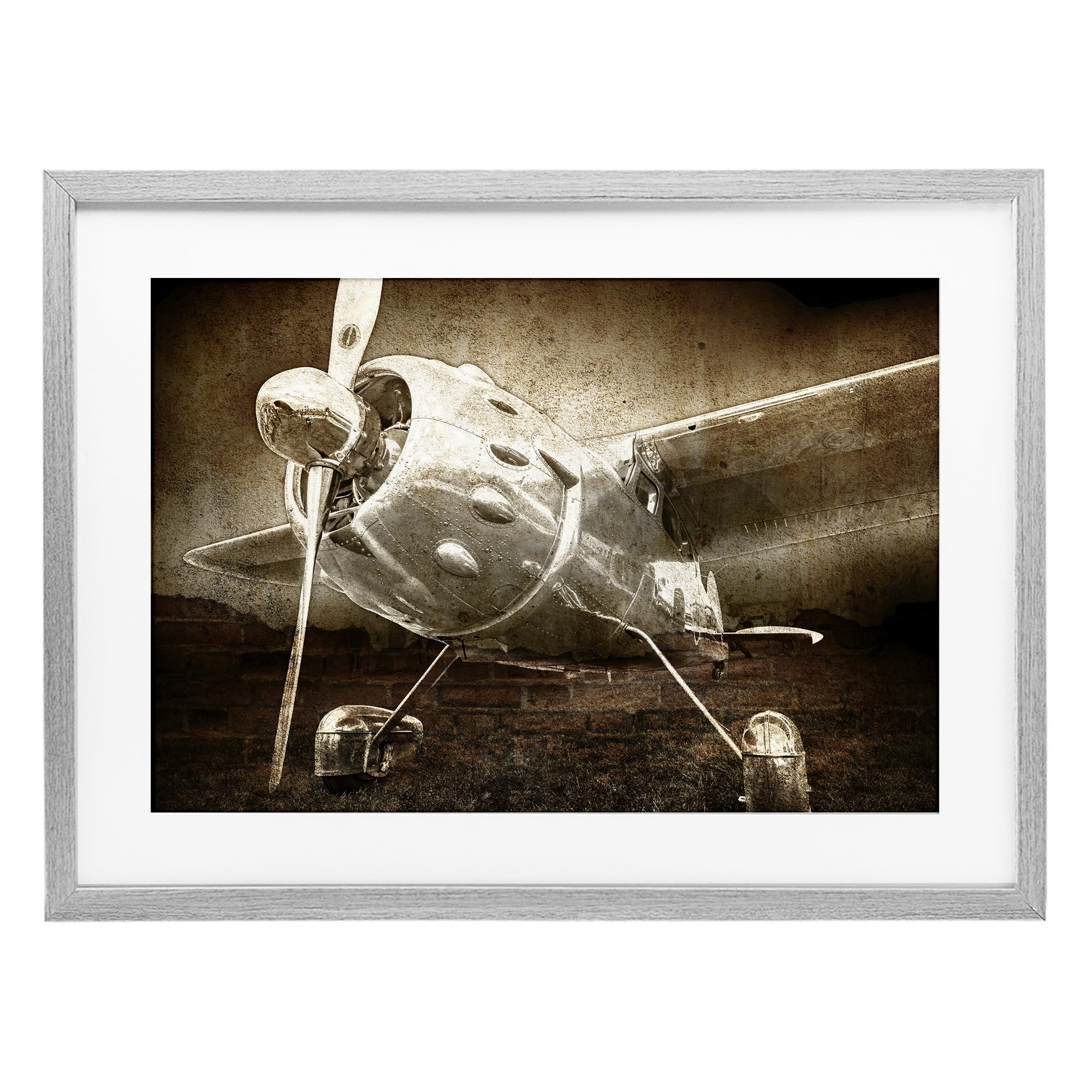 Stupell Industries Farmhouse Gray (Textured) 'Taking Flight Vintage'| Framed Print Under Glass