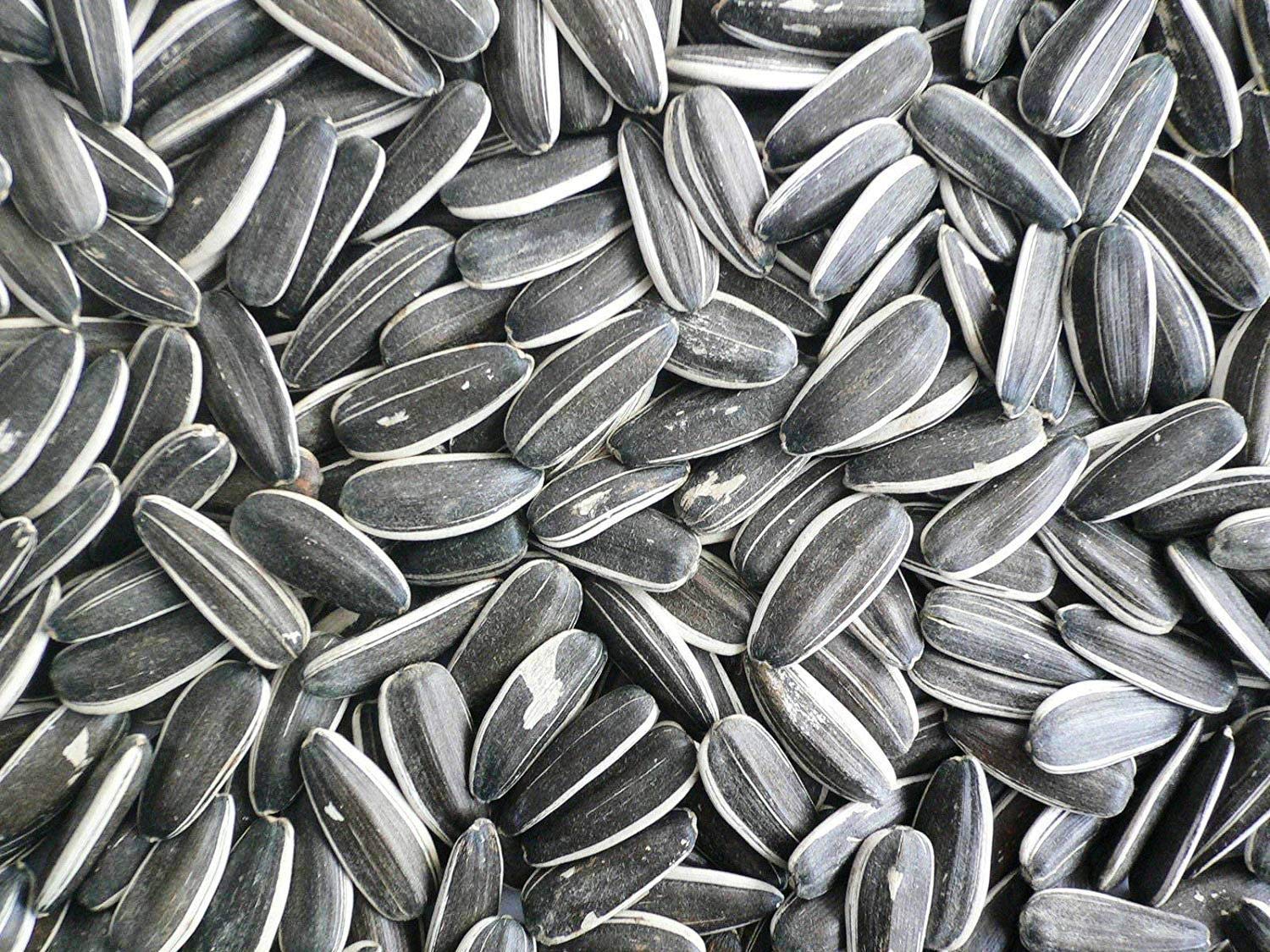 Sunflower Seeds for Grey and Indian Parrot, Macaw, Cockatoo and Exotic Birds (500 g) Sunflower Seed Bird Food (B083HKRFR5) Amazon Price History, Amazon Price Tracker