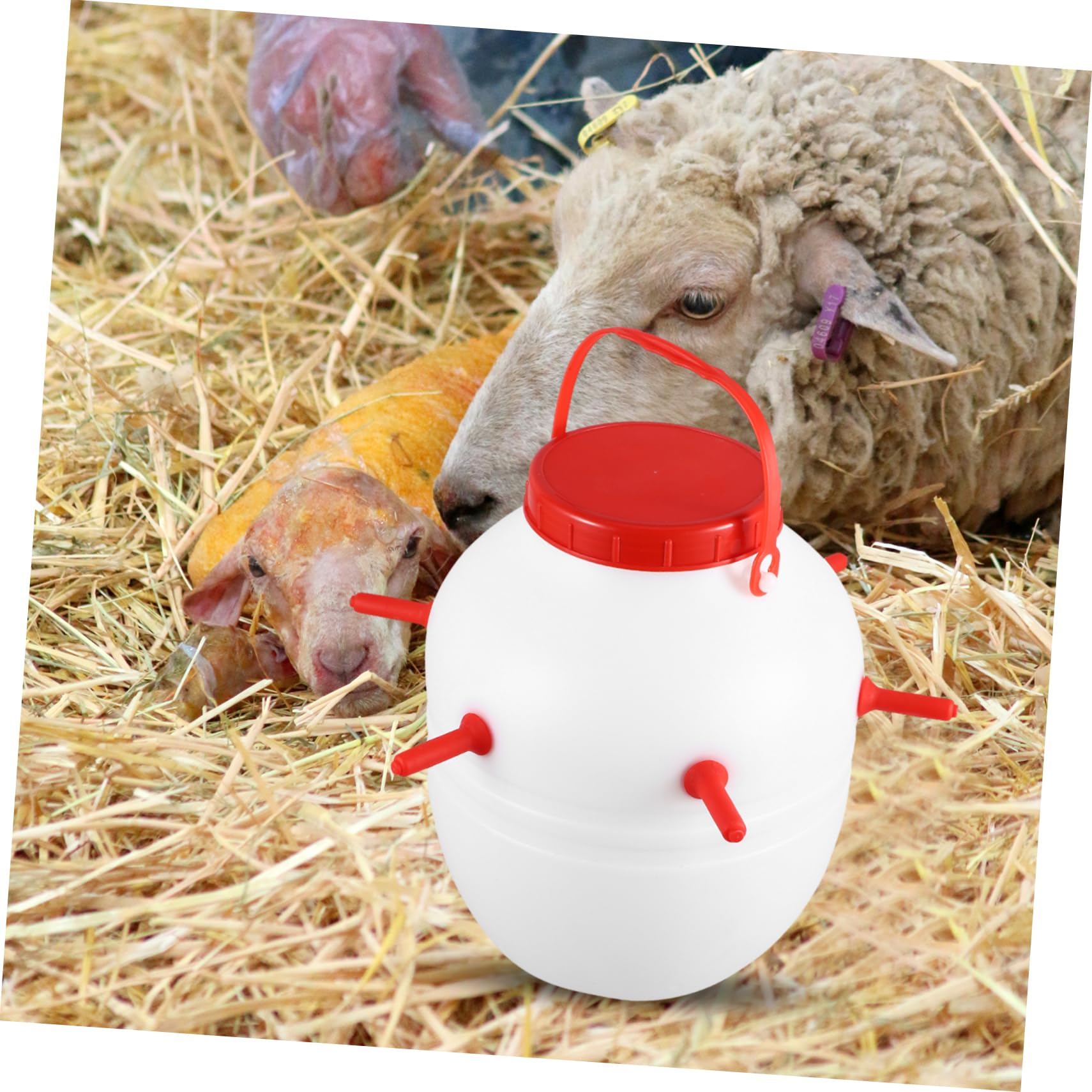 Hohopeti Biberón de para Corderos y Animales Botella de Plástico Gruesa Resistente con Capacidad de Accesorios para Alimentación de Ovejas Perros y Cerdos Alta