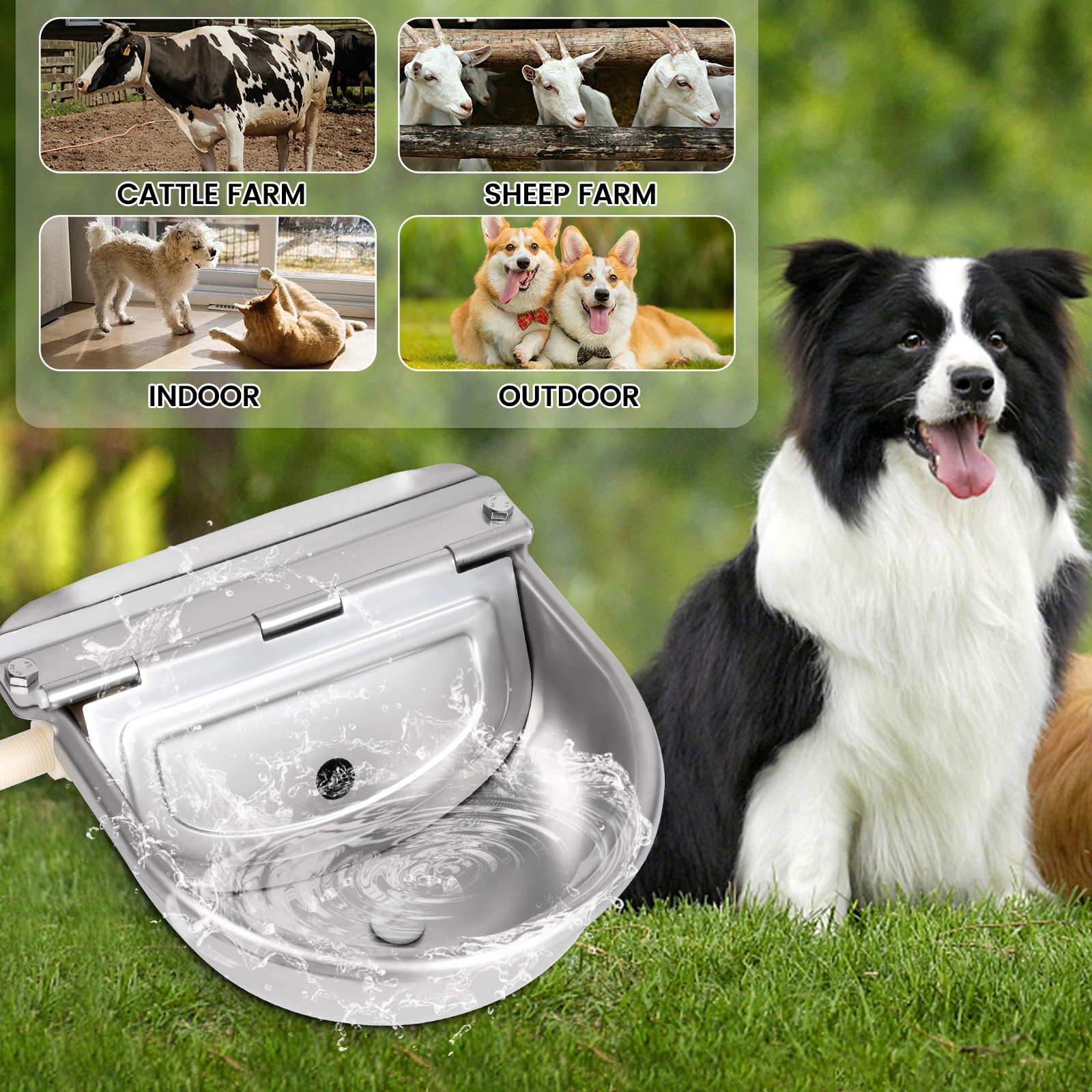 Edelstahl Viehtränke mit Ablaufstopfen, Anschlussstück, Geflochtenem Schlauch, Befestigungsschrauben und Speigatt, Automatische Viehtränke für Hund, Rind, Pferd, Ziege, Schaf, Schwein