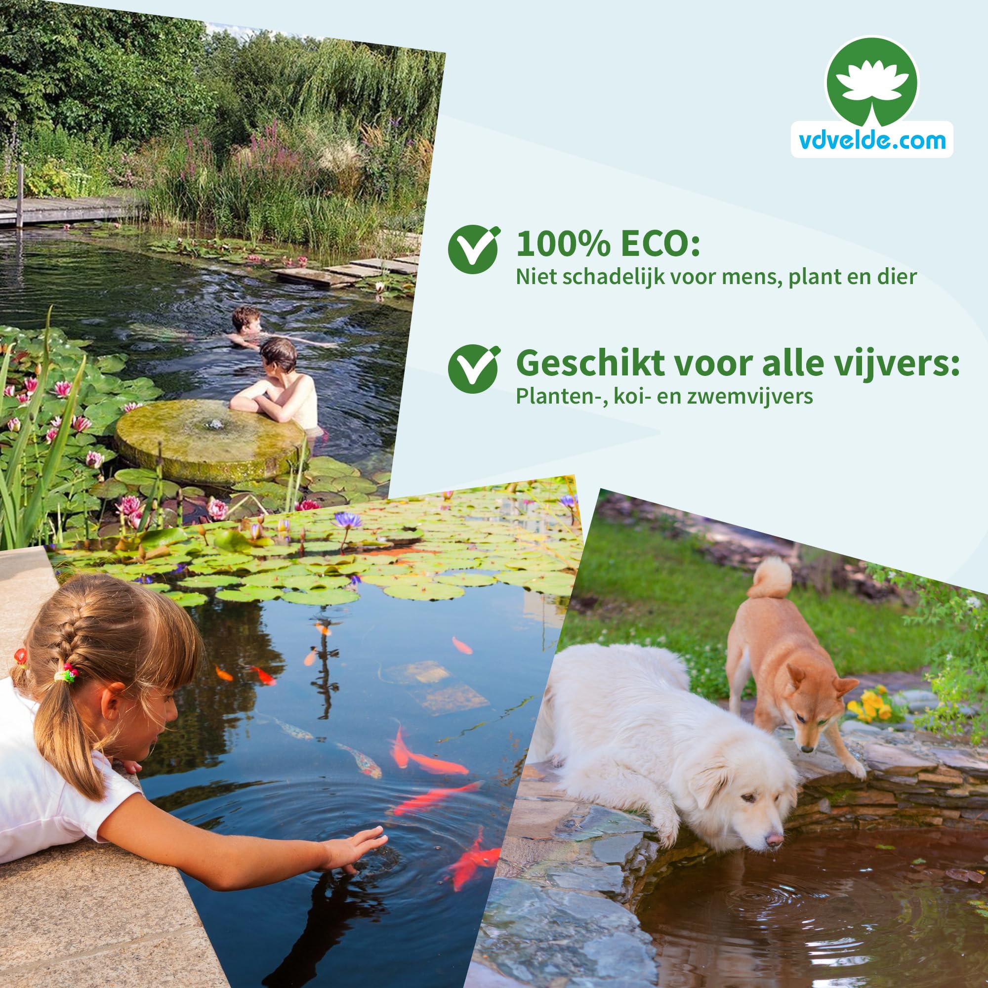 vdvelde - Pacchetto Piante Ossigenanti 500-1.250L - Piante Laghetto - Acqua Limpida - Anti Alghe - Resistente - Bio - Per Pesci