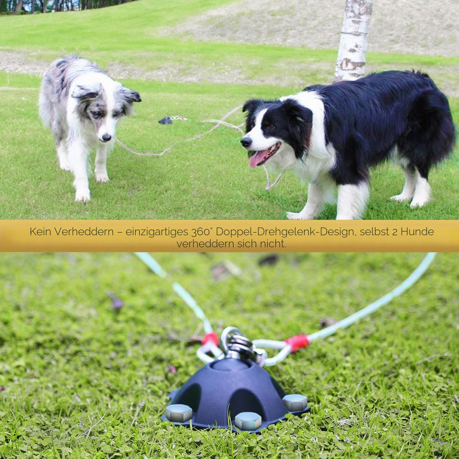 Patentierter 360° drehbarer Hundeanker für kleine bis große Hunde bis zu 68 kg – Hundeleinenpfahl mit 5 starken Haltegurten hält 453,6 kg Zugkraft (Pfahl mit 30 Kabeln)