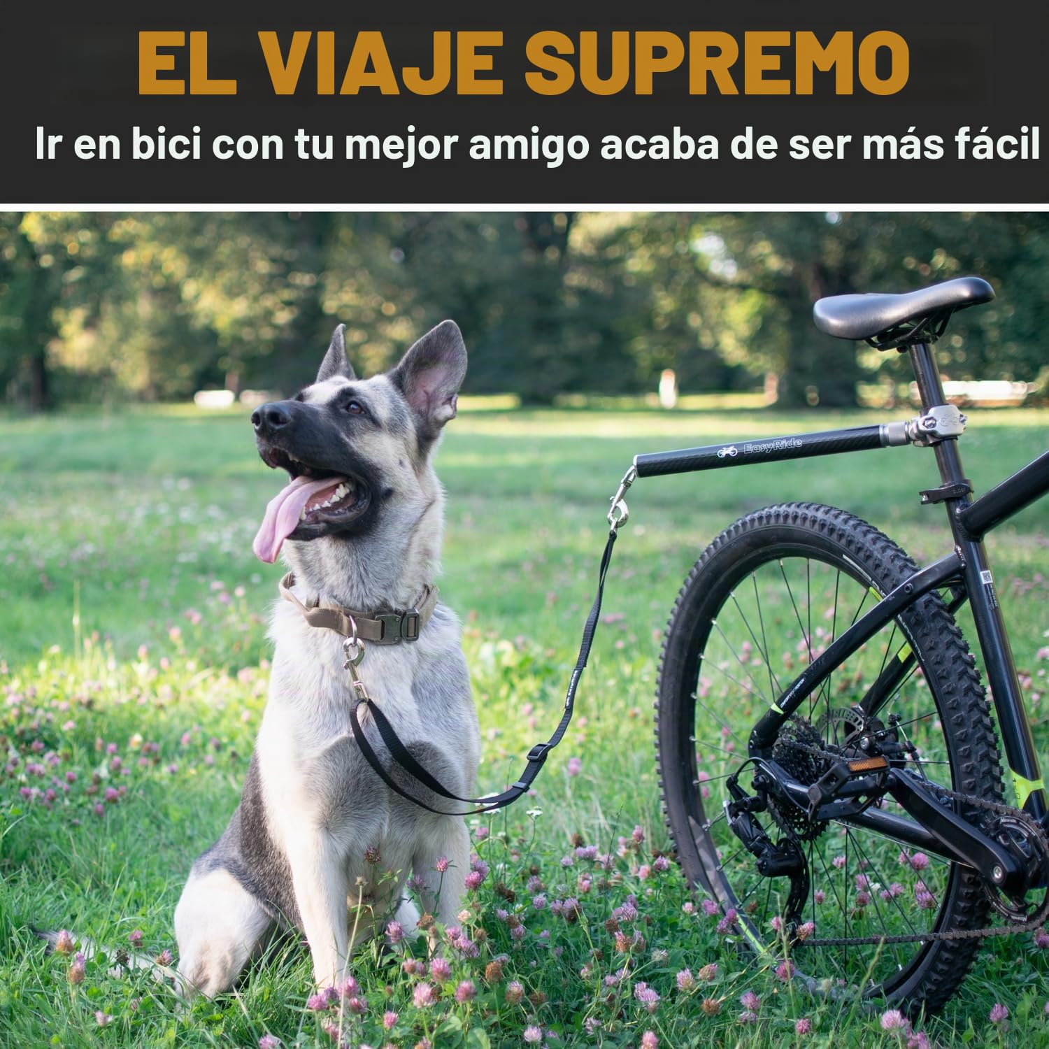 V2.0 – Correa de Perros 180° para Bicicletas giratoria EasyRide y con Mecanismo de fijación rápida, Fibra de Carbono, Desmontable y Ajustable para un Paseo más Suave