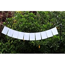 Blank Prayer Flags Set of 10 Flags Put Your own Prayers White