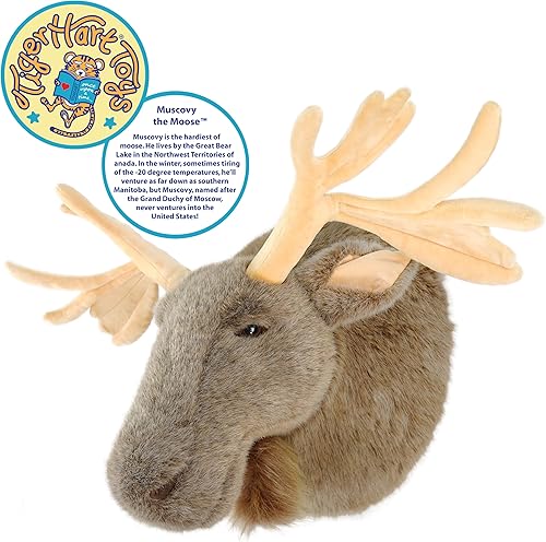 Miniatura 2 de Muscovy The Moose - 24 pulgadas (con cuernos) Cabeza de peluche grande Trofeo de montaje en pared