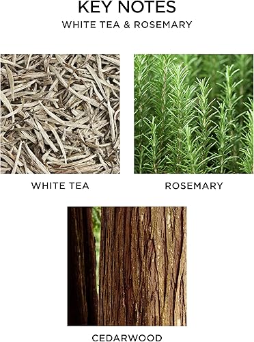 Miniatura 3 de NEST New York White Tea & Romero Alfresco - Vela perfumada de 5 mechas de larga duración para el hogar, 44 onzas