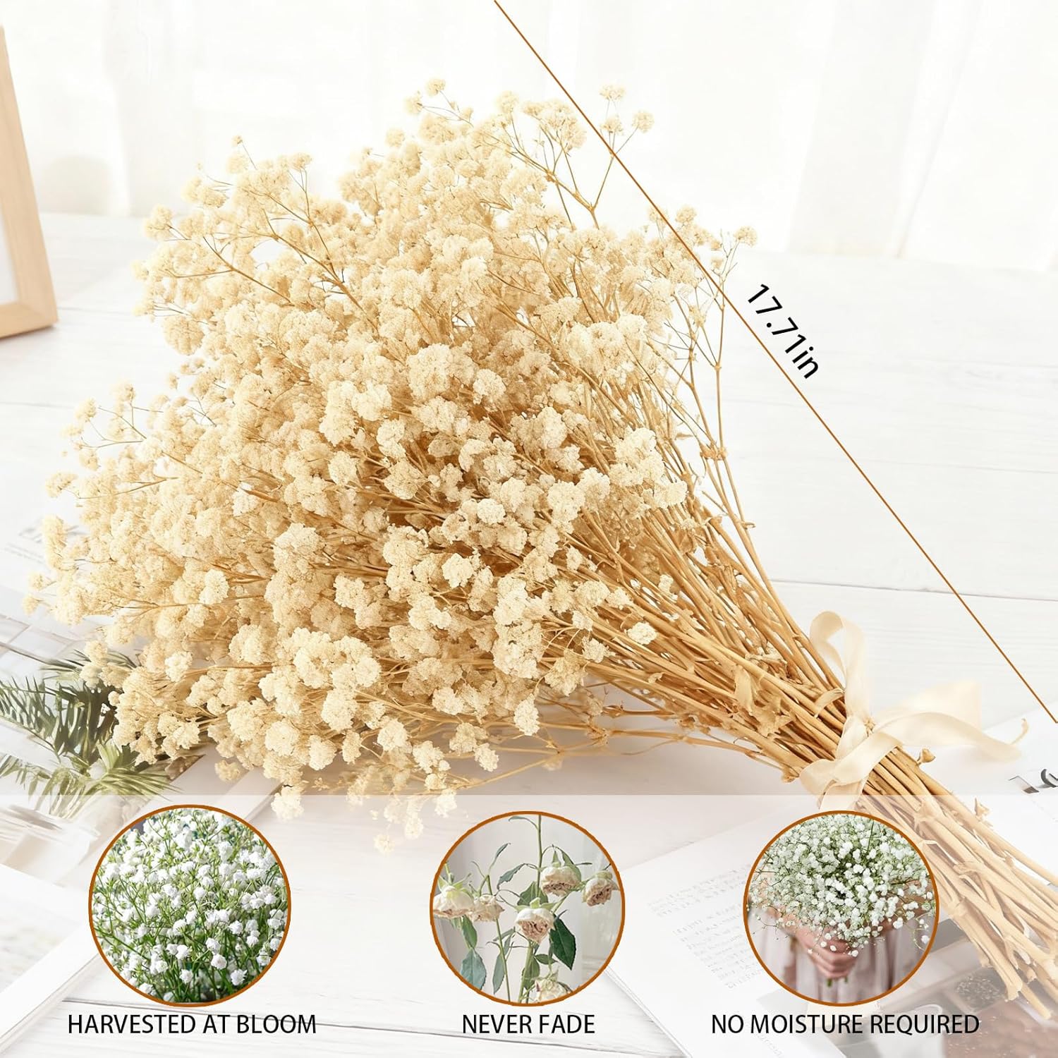 6500+ White Dried Baby's Breath Flowers Bouquet, 100Pcs Mini Real Natural Gypsophila Branches for Christmas Tree Decorations, DIY Crafts, DIY Wreath Home Party Wedding. (whir te)
