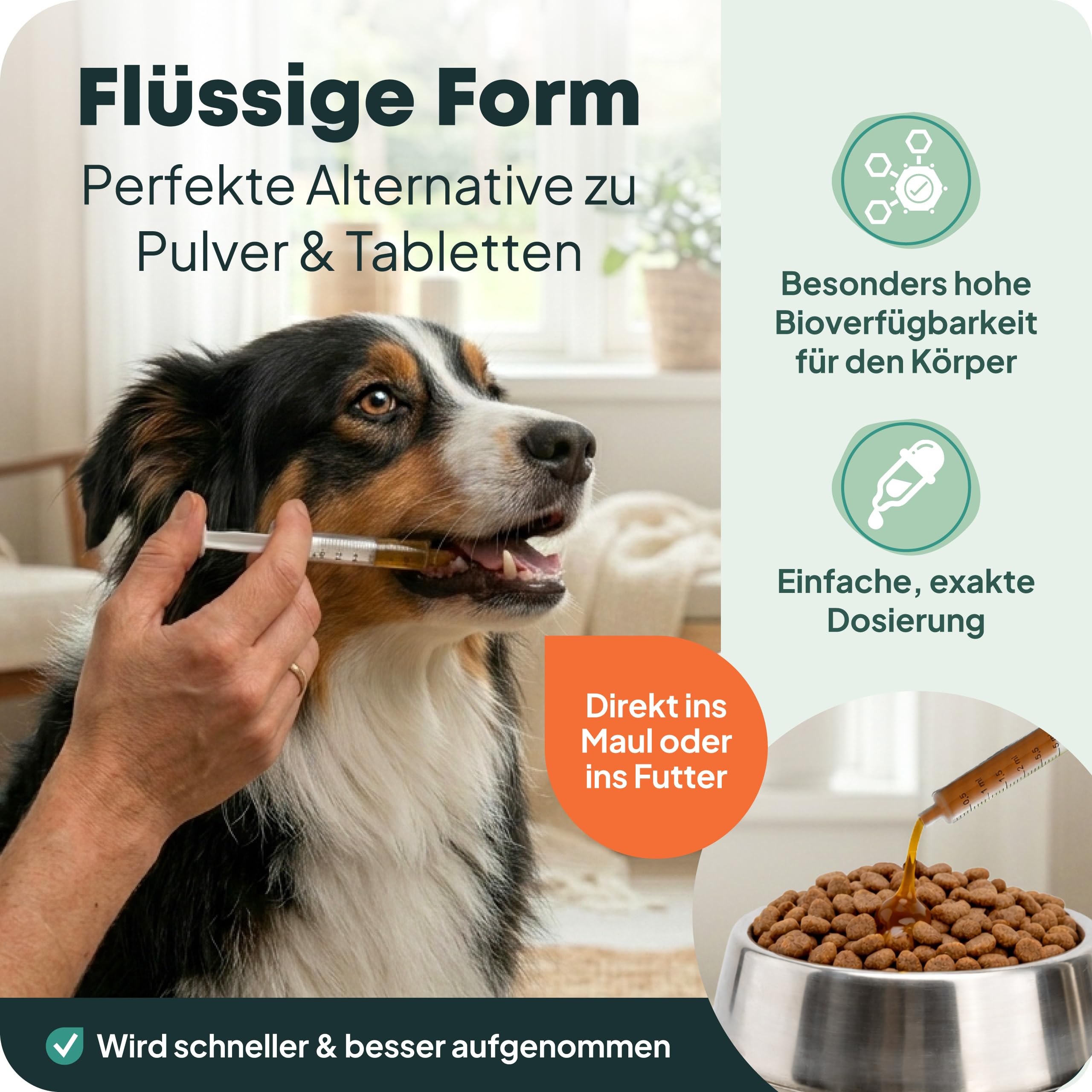 Dog Joint Support Grünlippmuschel Hund 200 ml I Flüssiges Gelenkpräparat für Hunde I Mit Curcumin & Schwarzem Johannisbeerblatt I Unterstützt Knorpel & Beweglichkeit