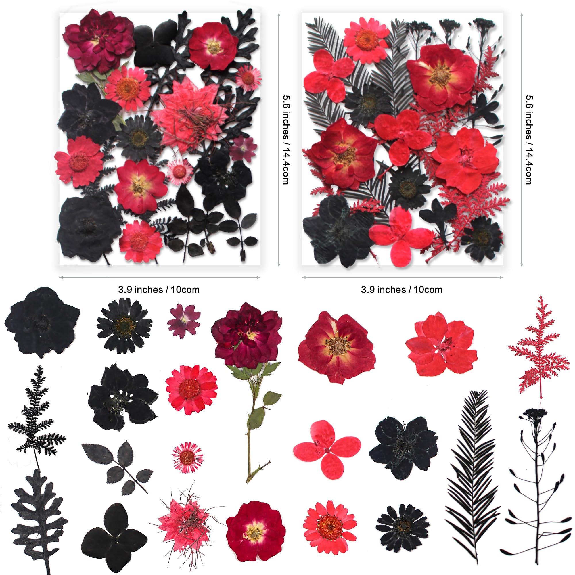 YouthBro 141PCS Black Red Dried Pressed Flowers for Resin Real Nature Flowers Herb Set for Christmas DIY Candle Soap Vase Making Nail Card Scrapbook Art Craft Floral Decors - Image 3