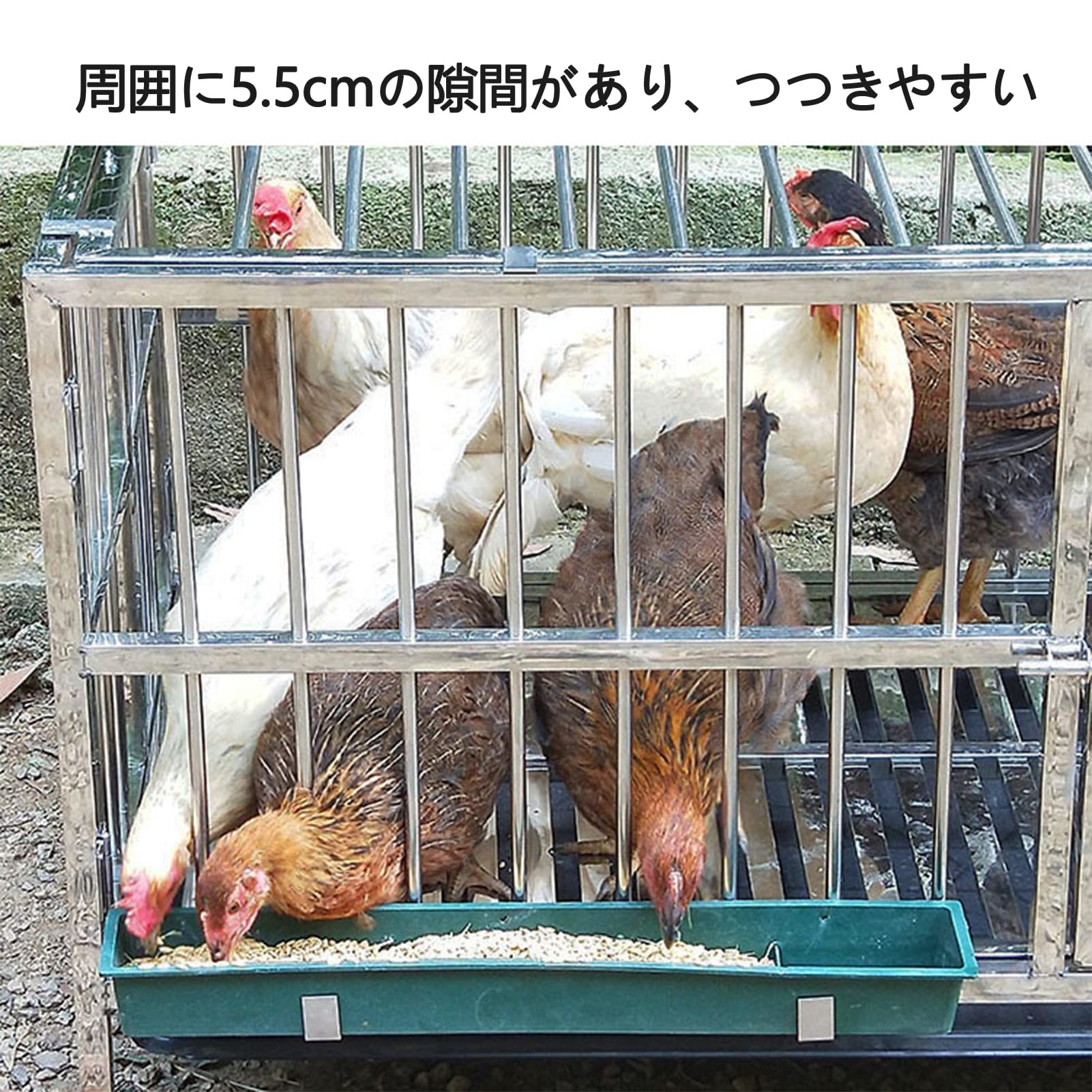 Amazon | 折りたたみ式ステンレス製レイヤーケージ 自動で卵を集める